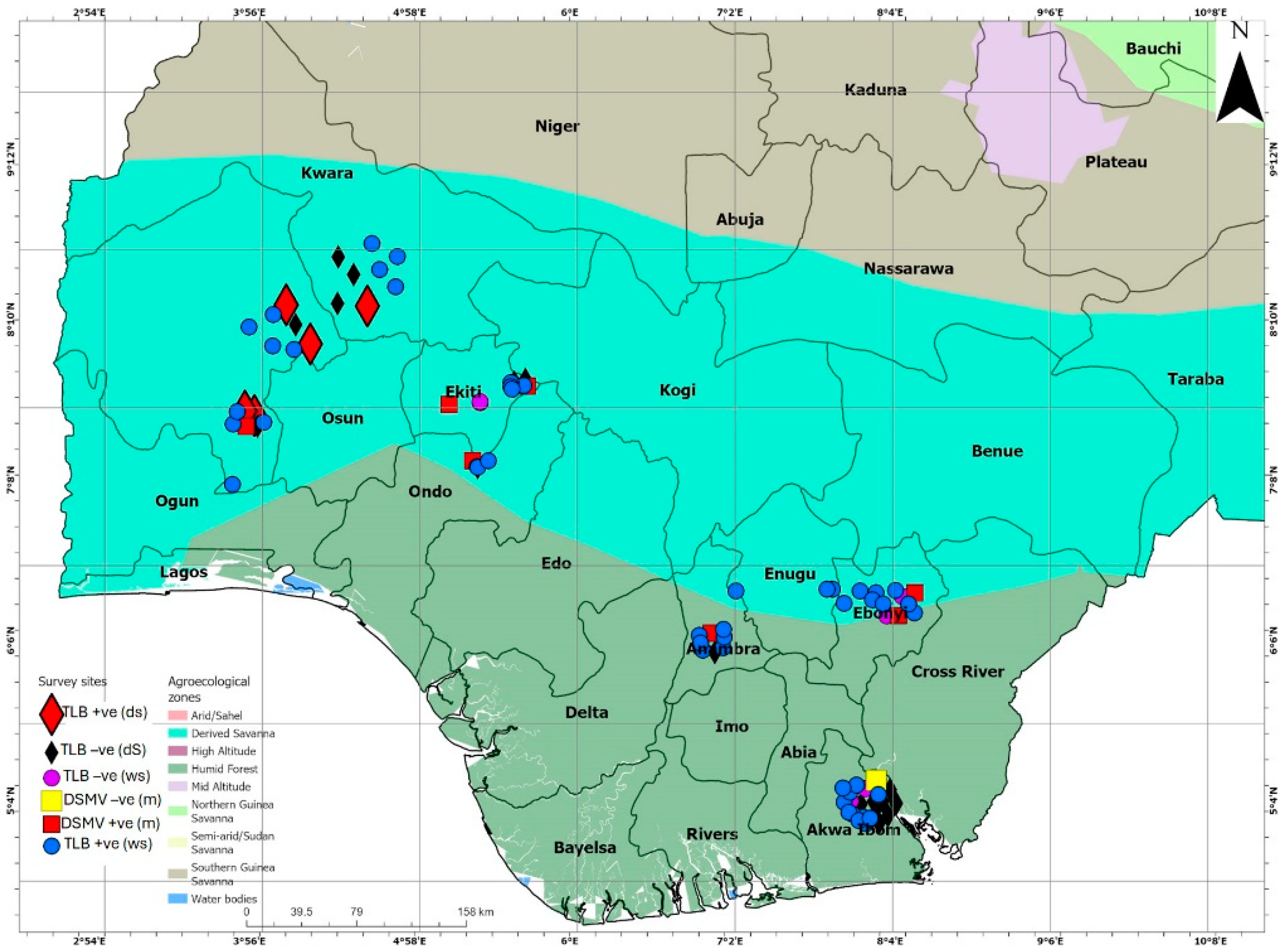 Plants 14 03457 g004