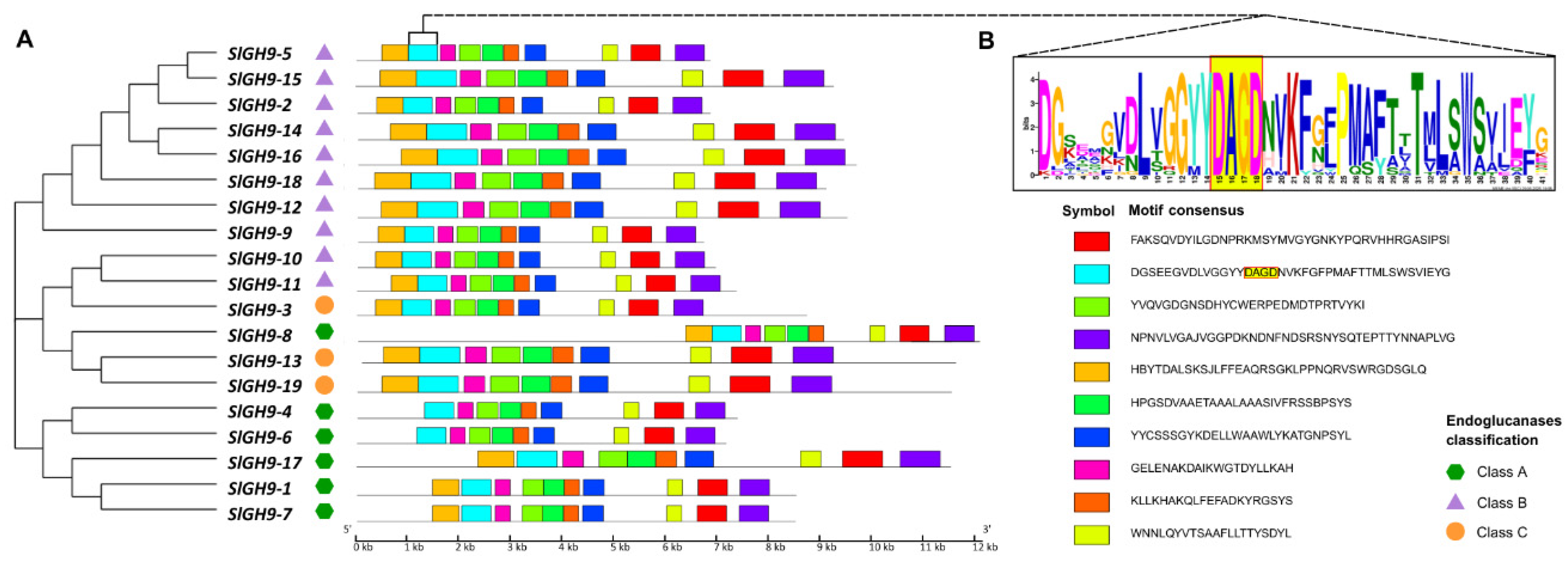 Plants 14 03458 g001 Plants 14 03458 g001