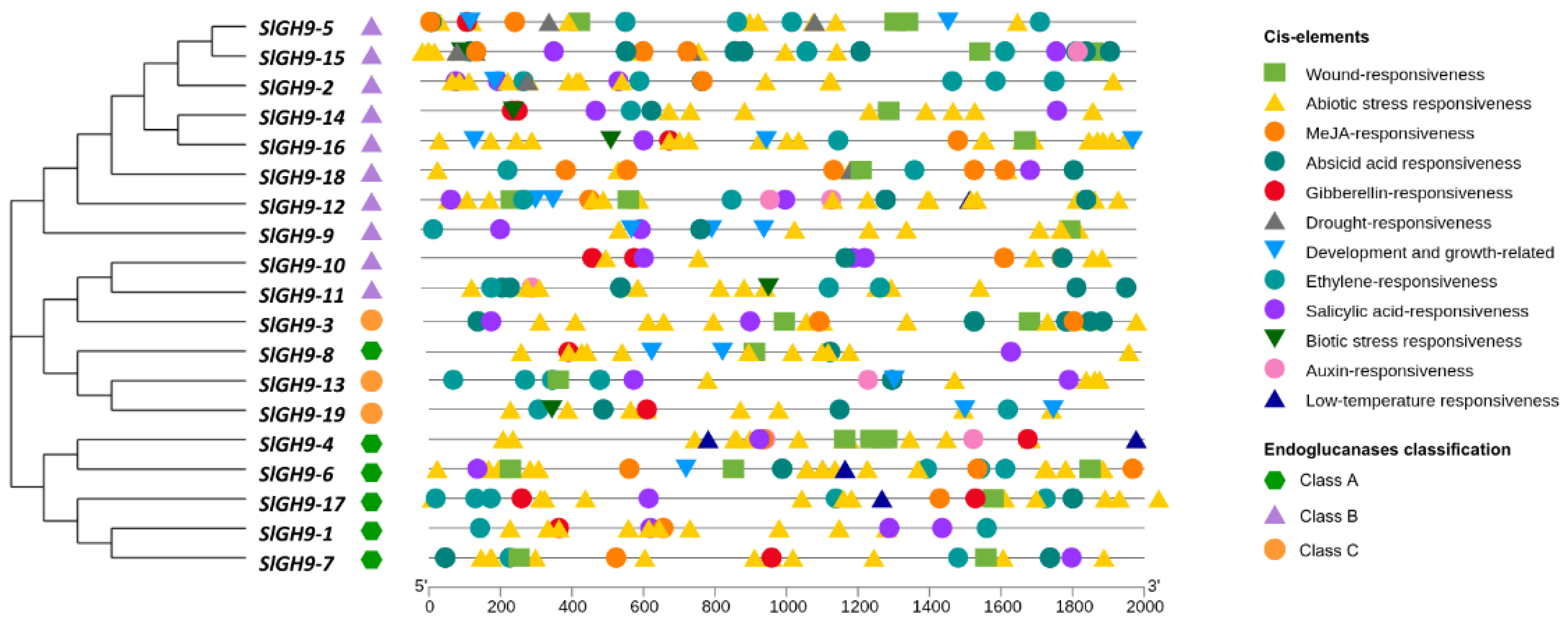 Plants 14 03458 g003 Plants 14 03458 g003