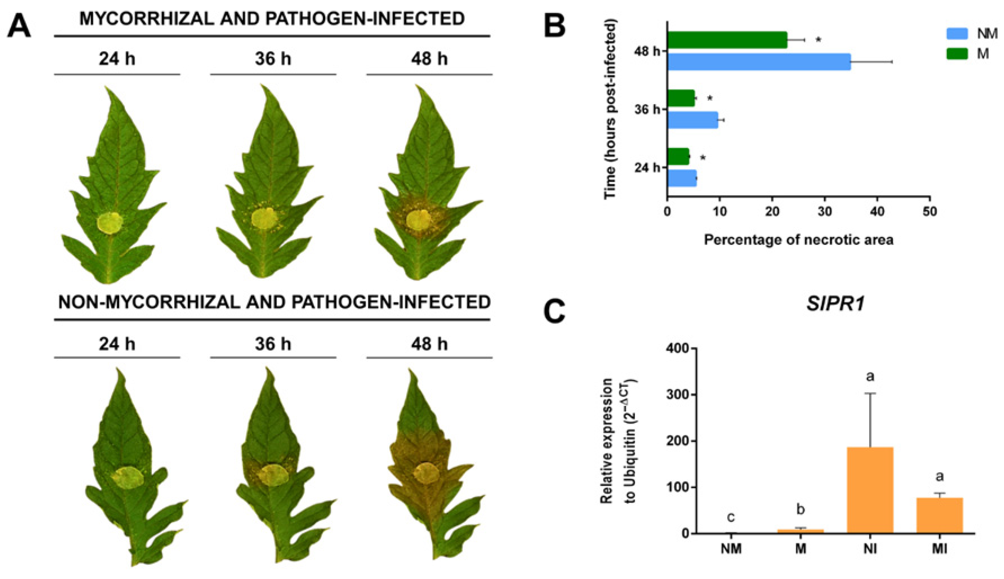 Plants 14 03458 g005 Plants 14 03458 g005