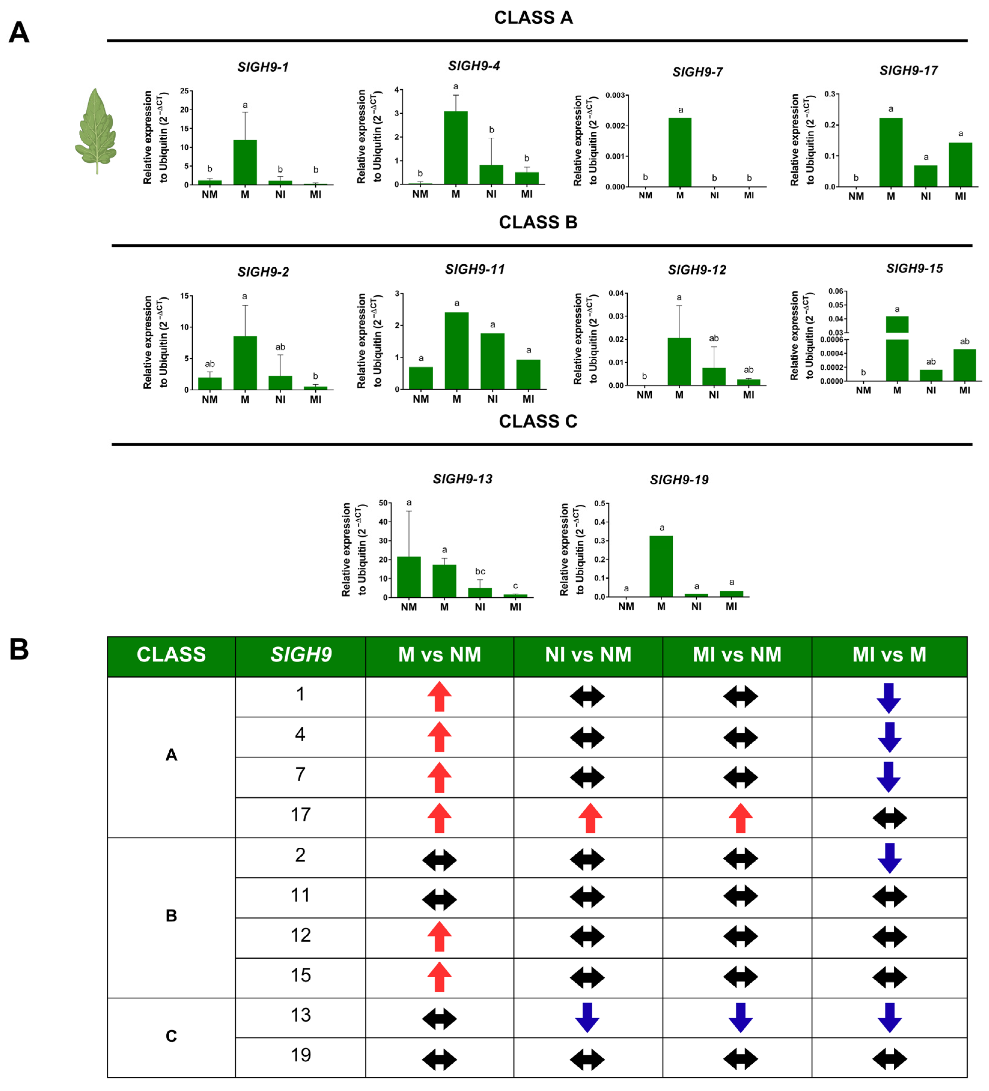 Plants 14 03458 g006 Plants 14 03458 g006