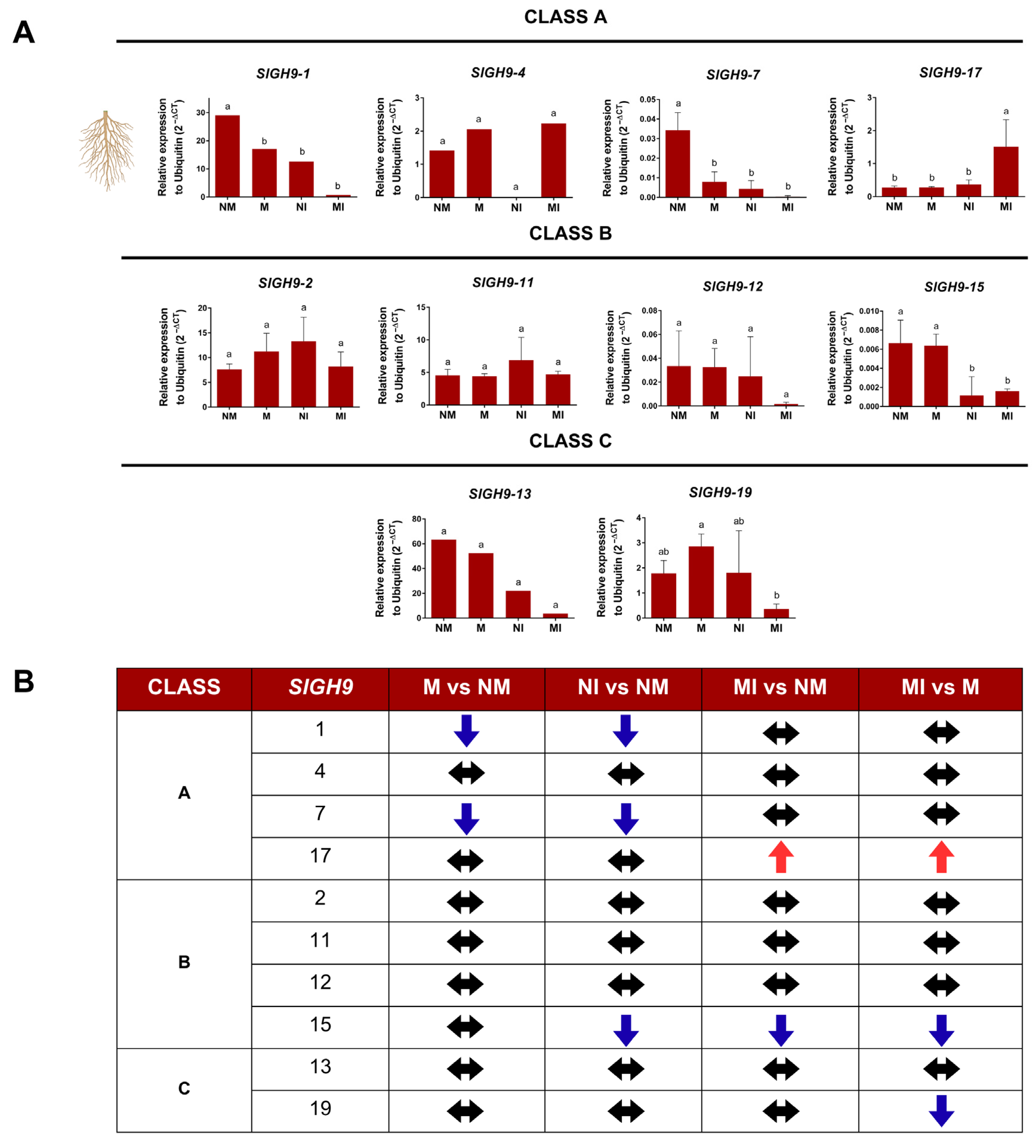 Plants 14 03458 g007 Plants 14 03458 g007