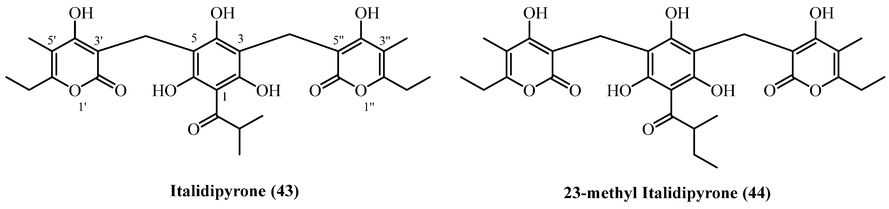 Plants 14 03460 g013 Plants 14 03460 g013