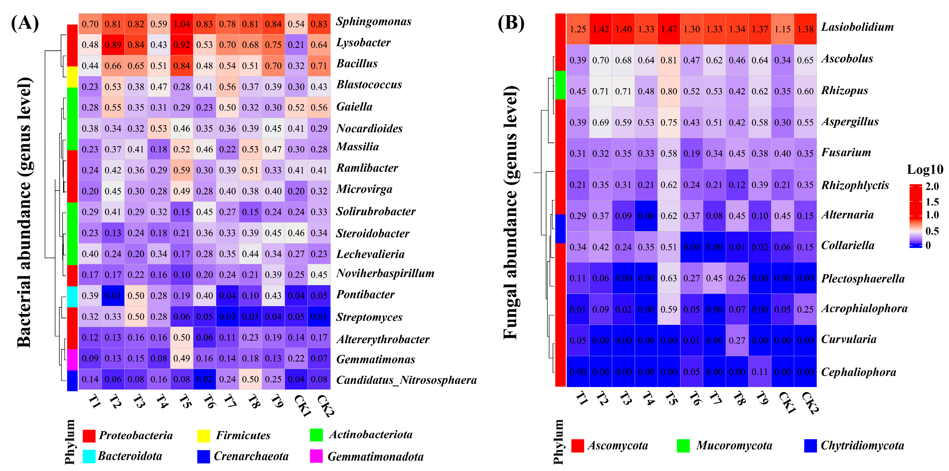 Plants 14 03461 g002