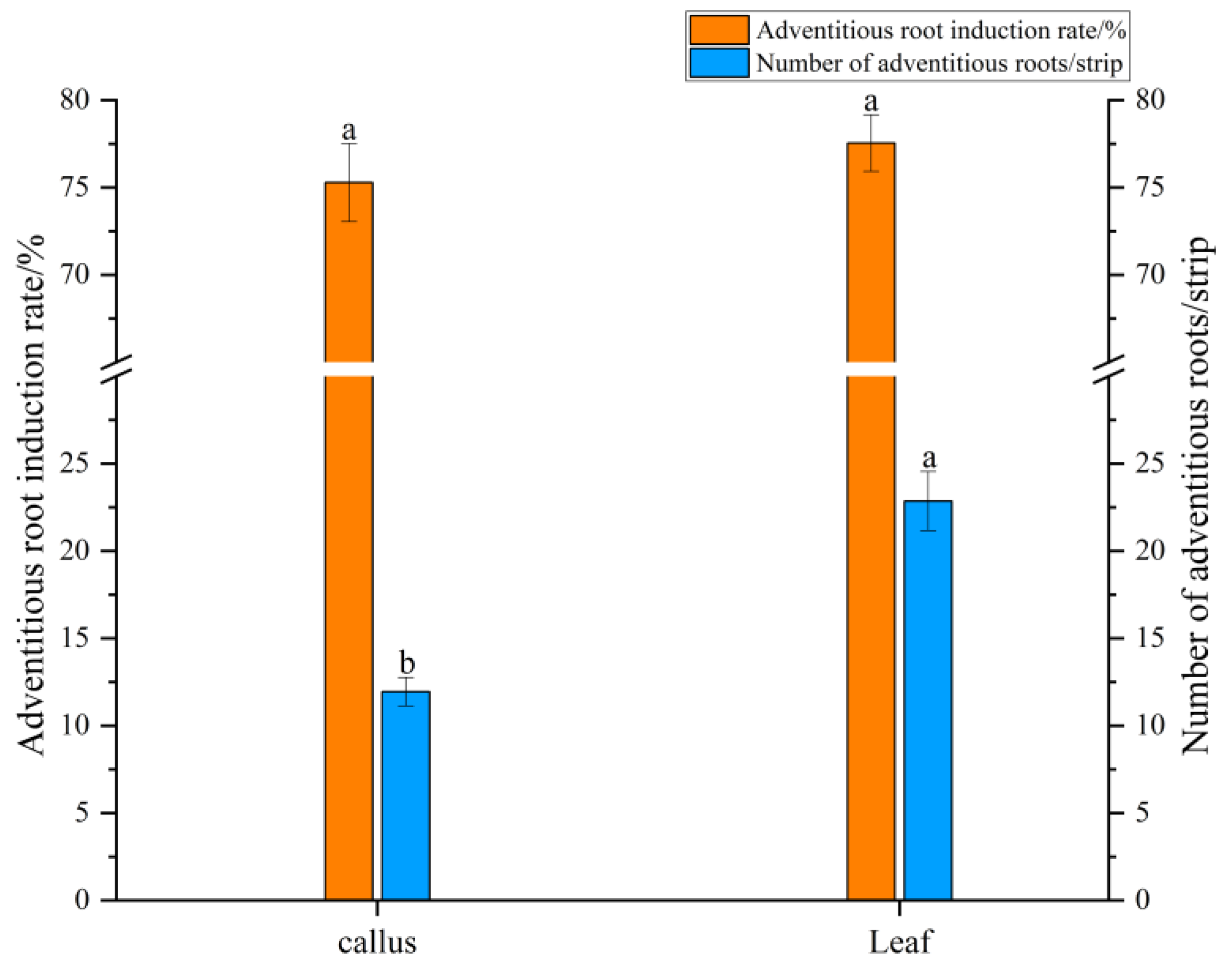 Plants 14 03462 g002
