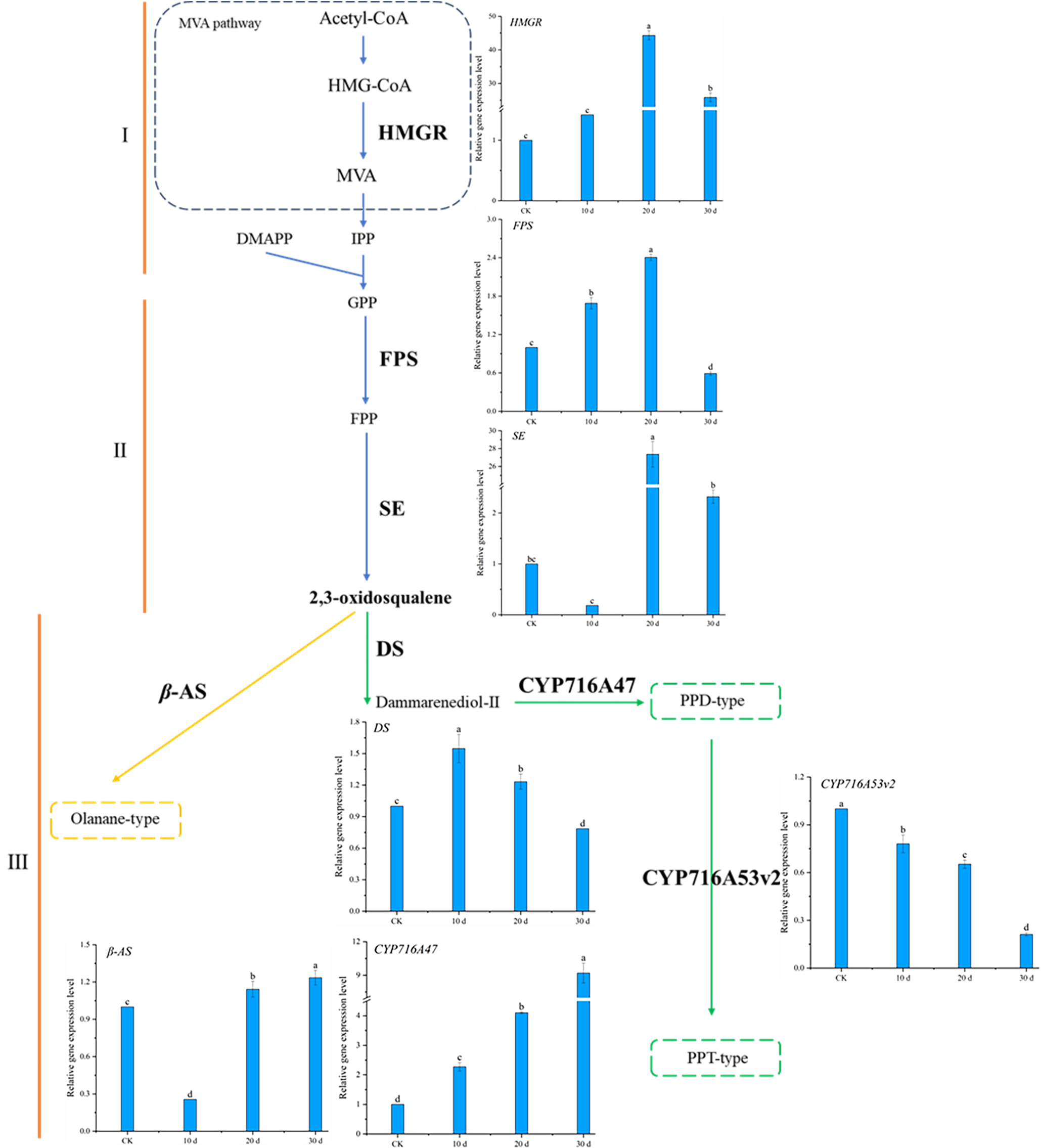 Plants 14 03462 g012