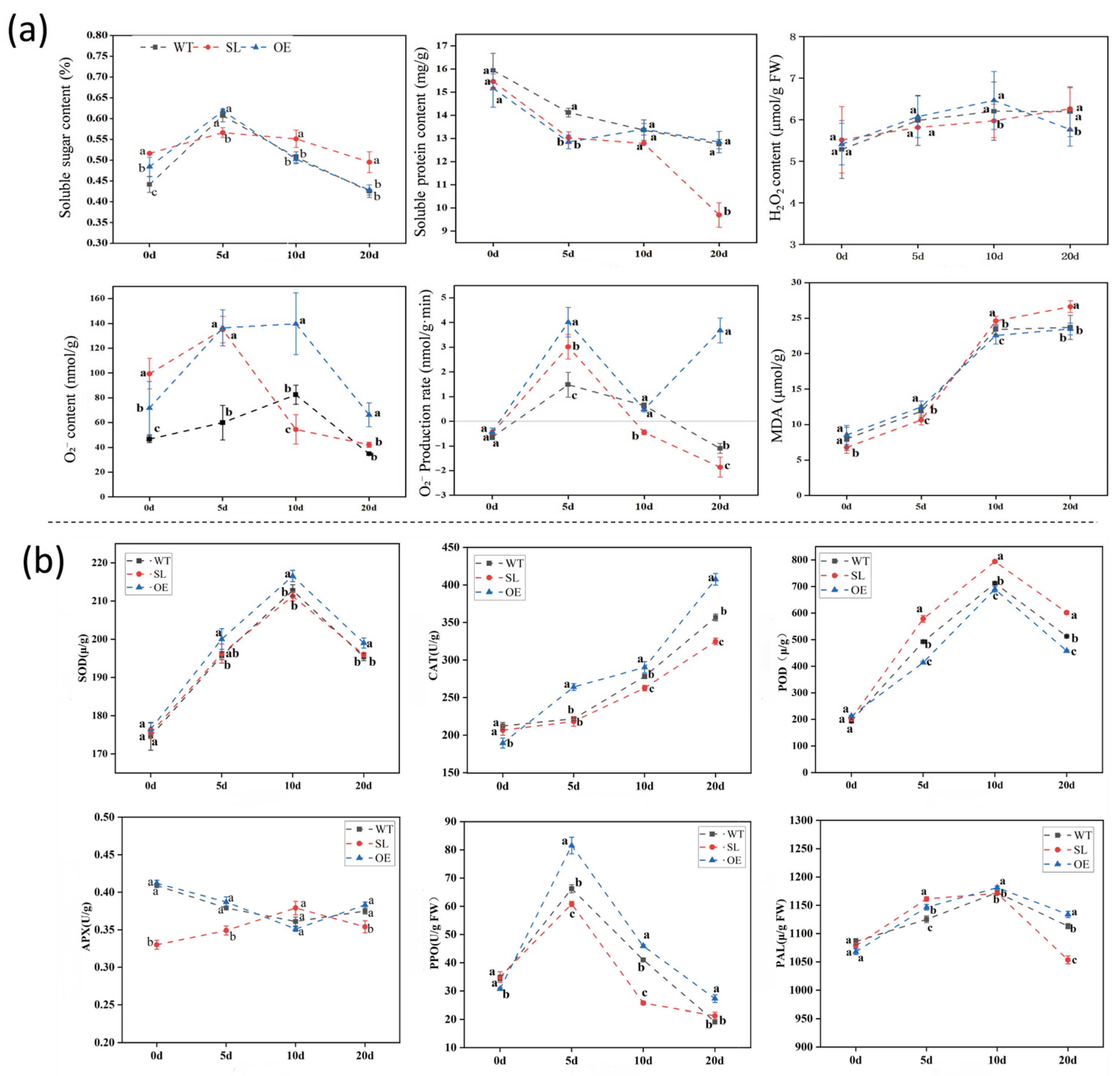 Plants 14 03463 g003