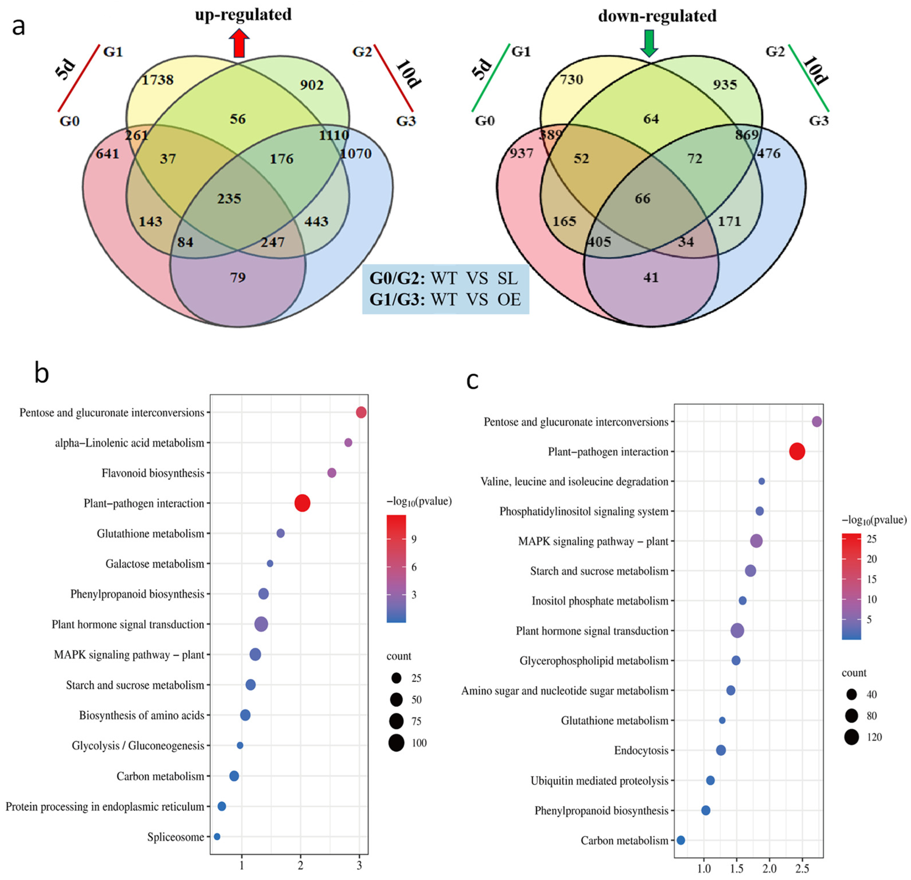 Plants 14 03463 g005