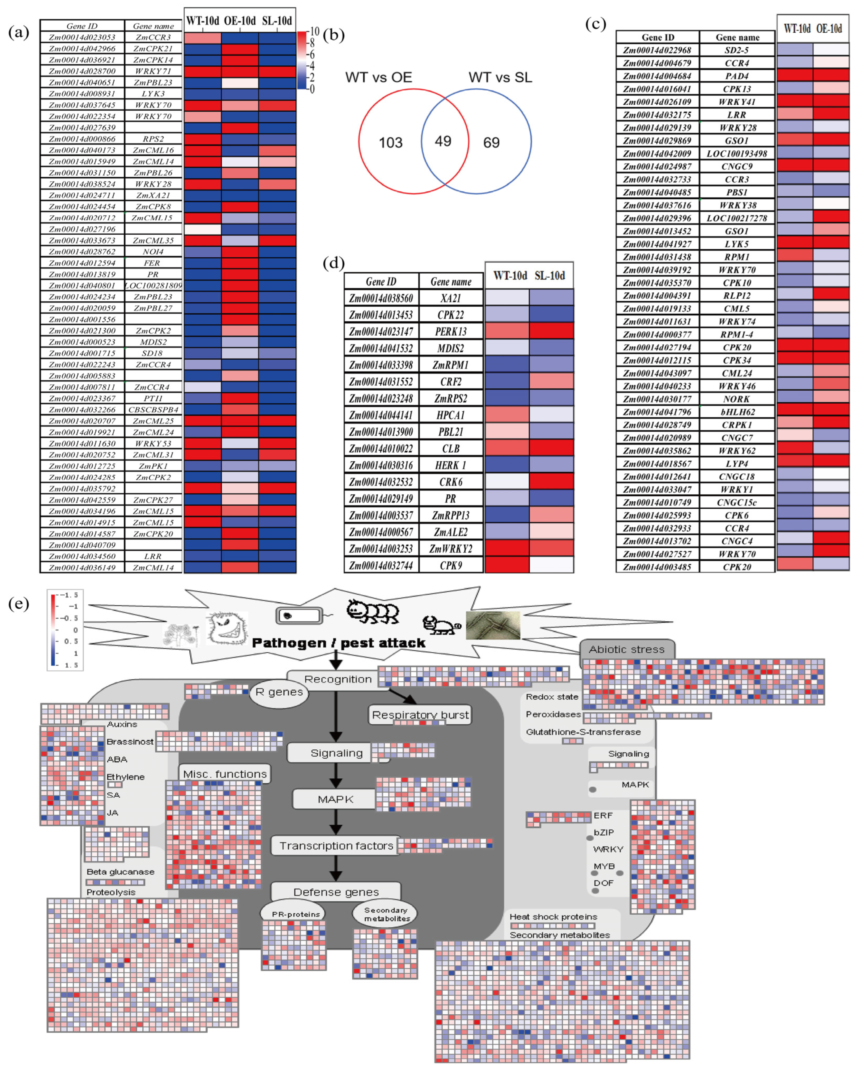Plants 14 03463 g006