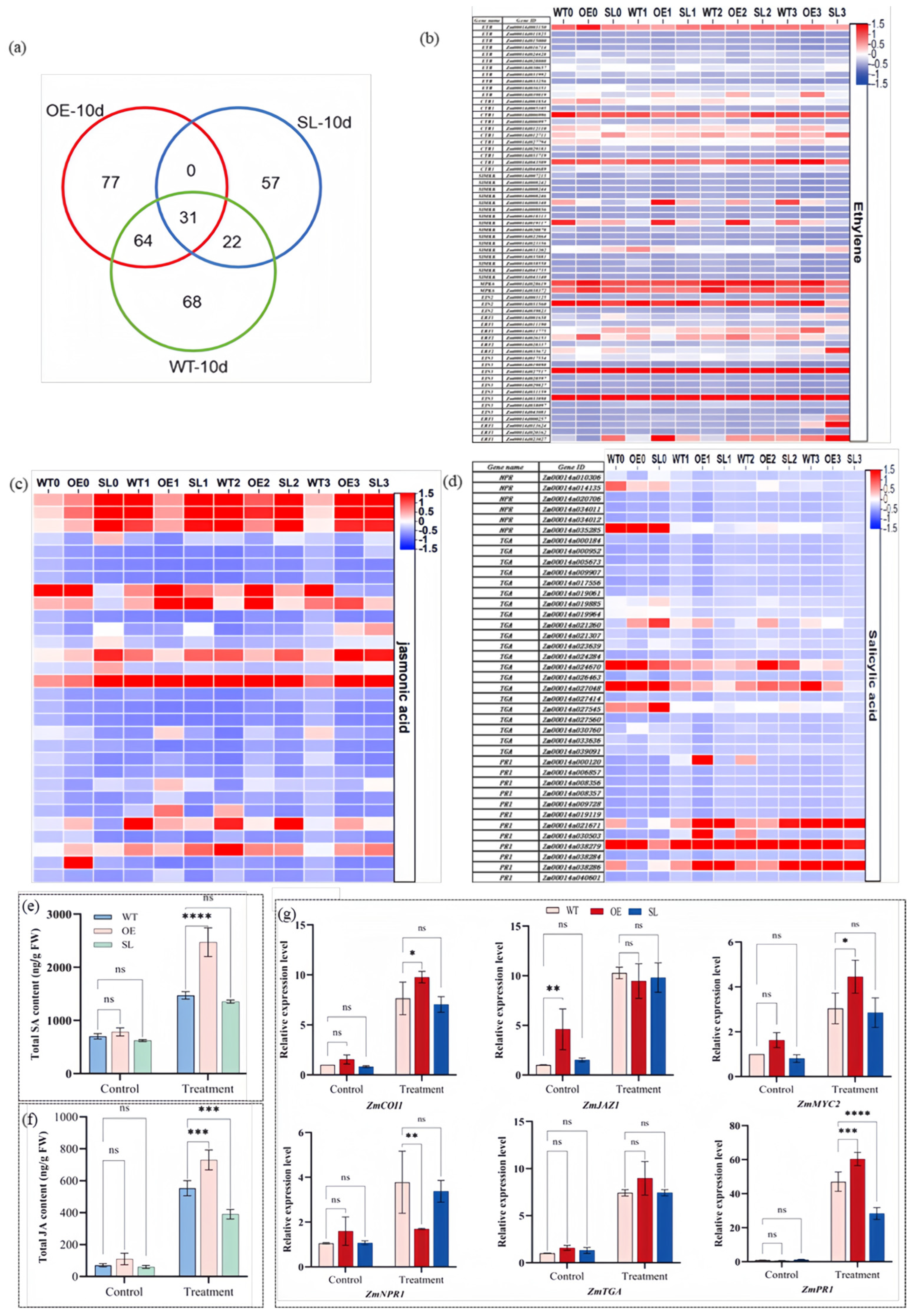 Plants 14 03463 g007