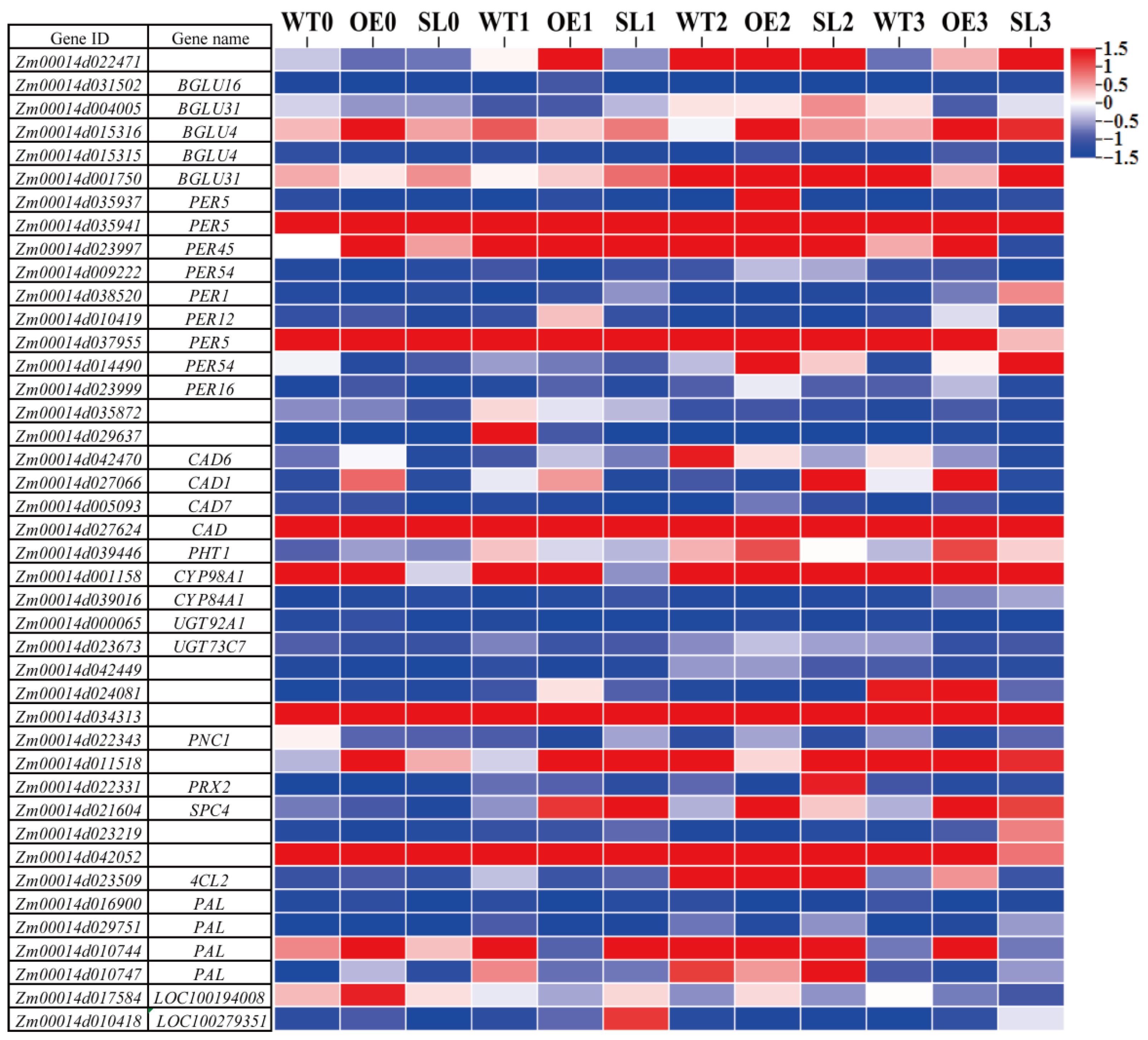 Plants 14 03463 g008