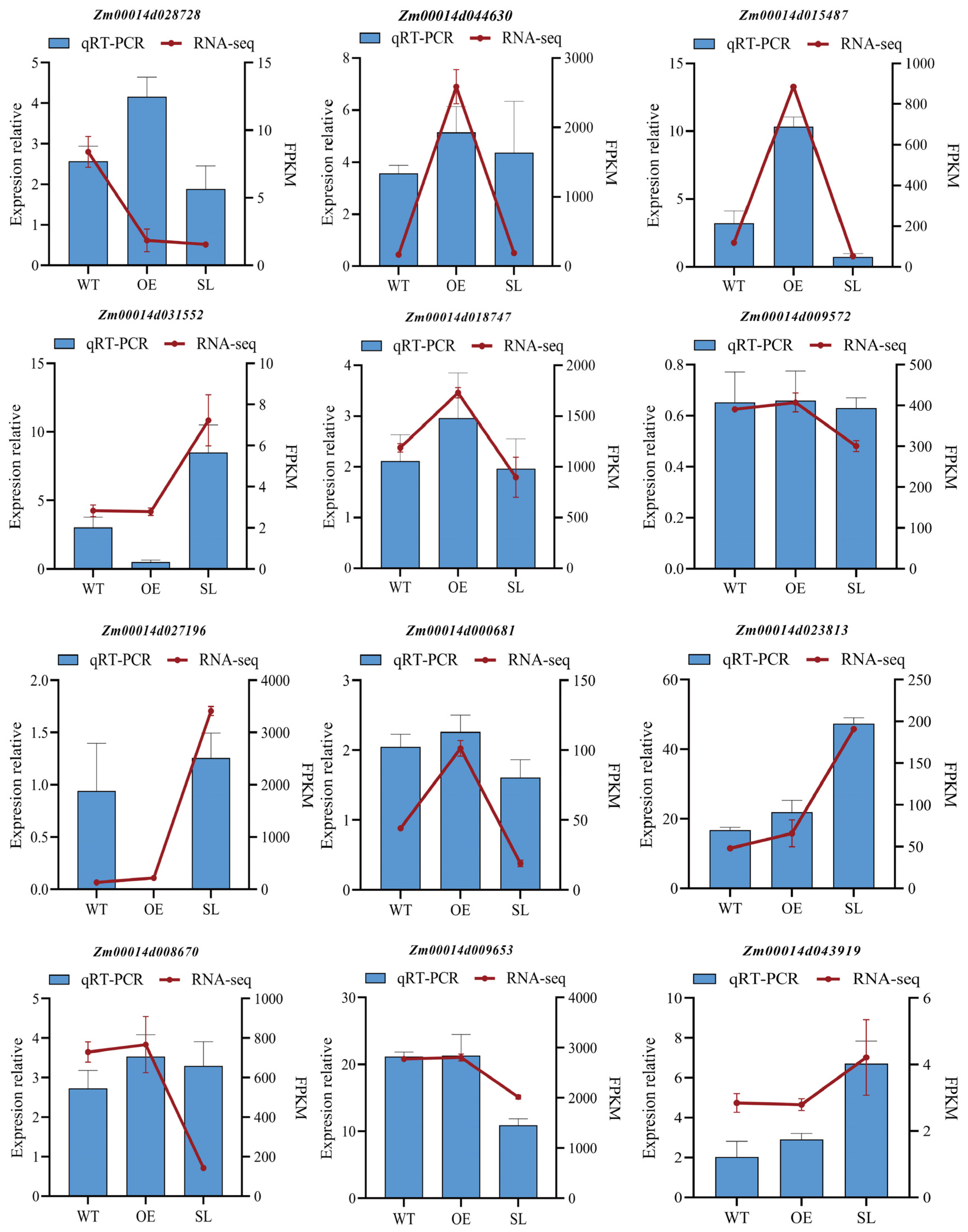Plants 14 03463 g009