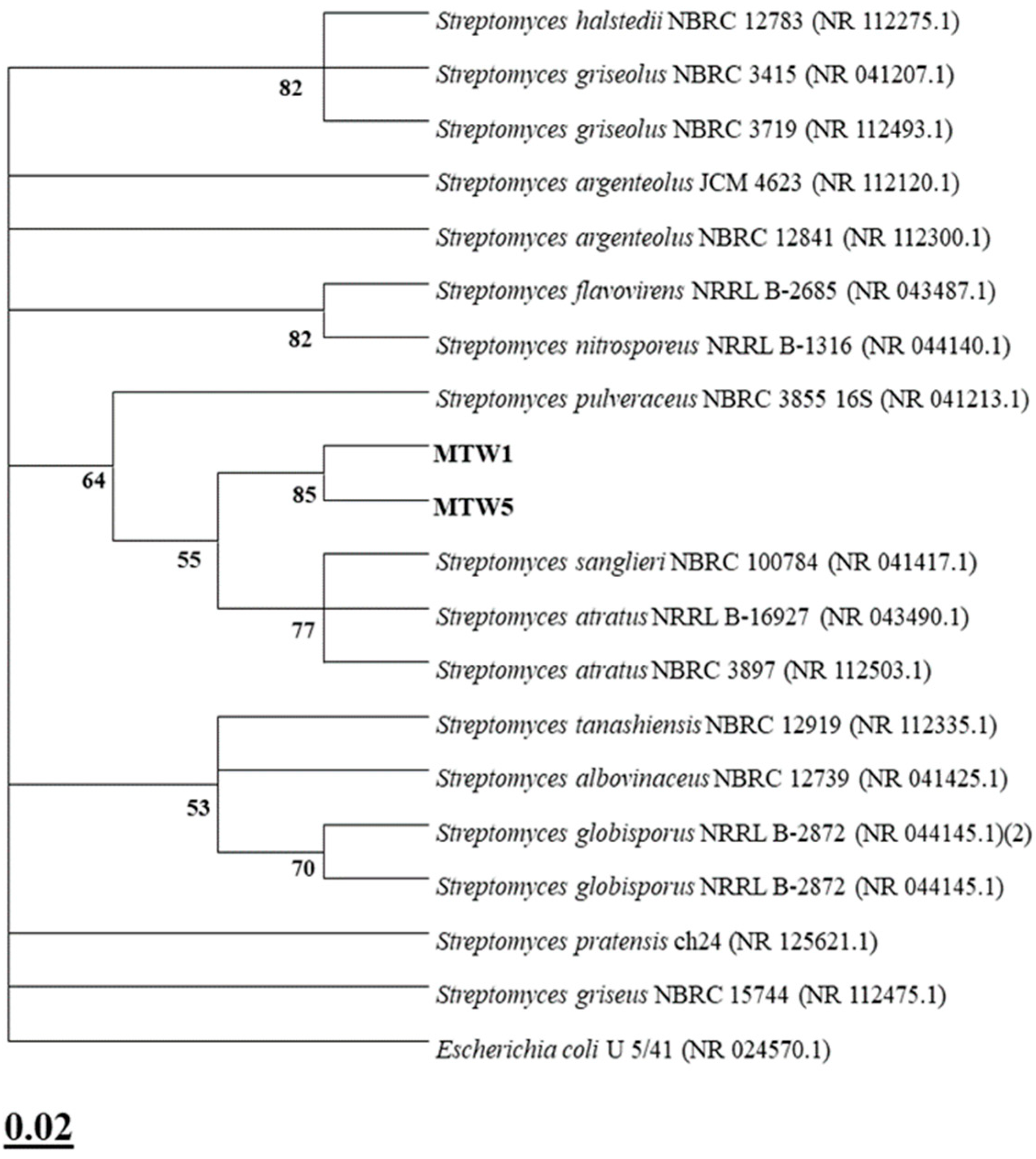 Plants 14 03467 g003