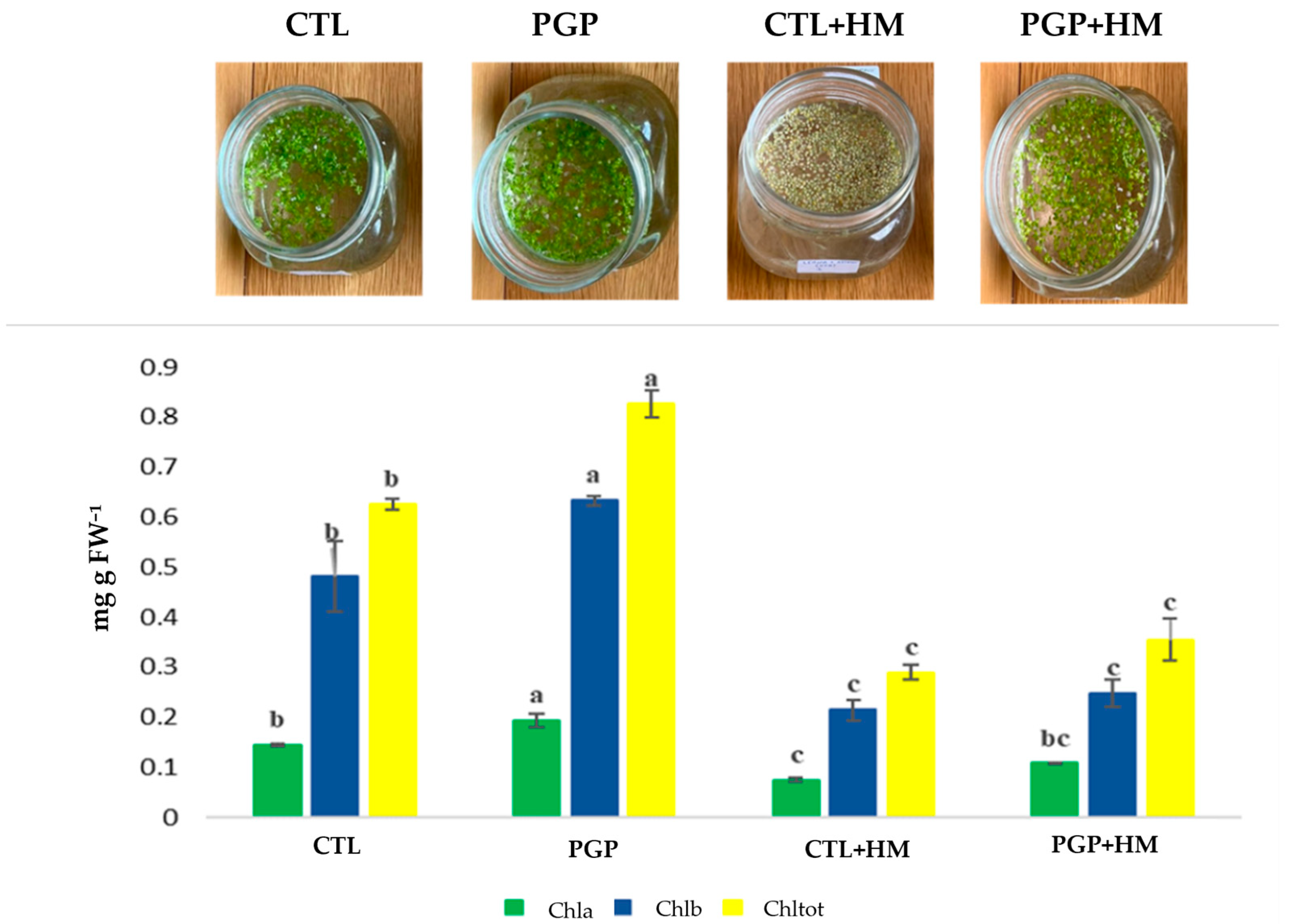 Plants 14 03467 g004