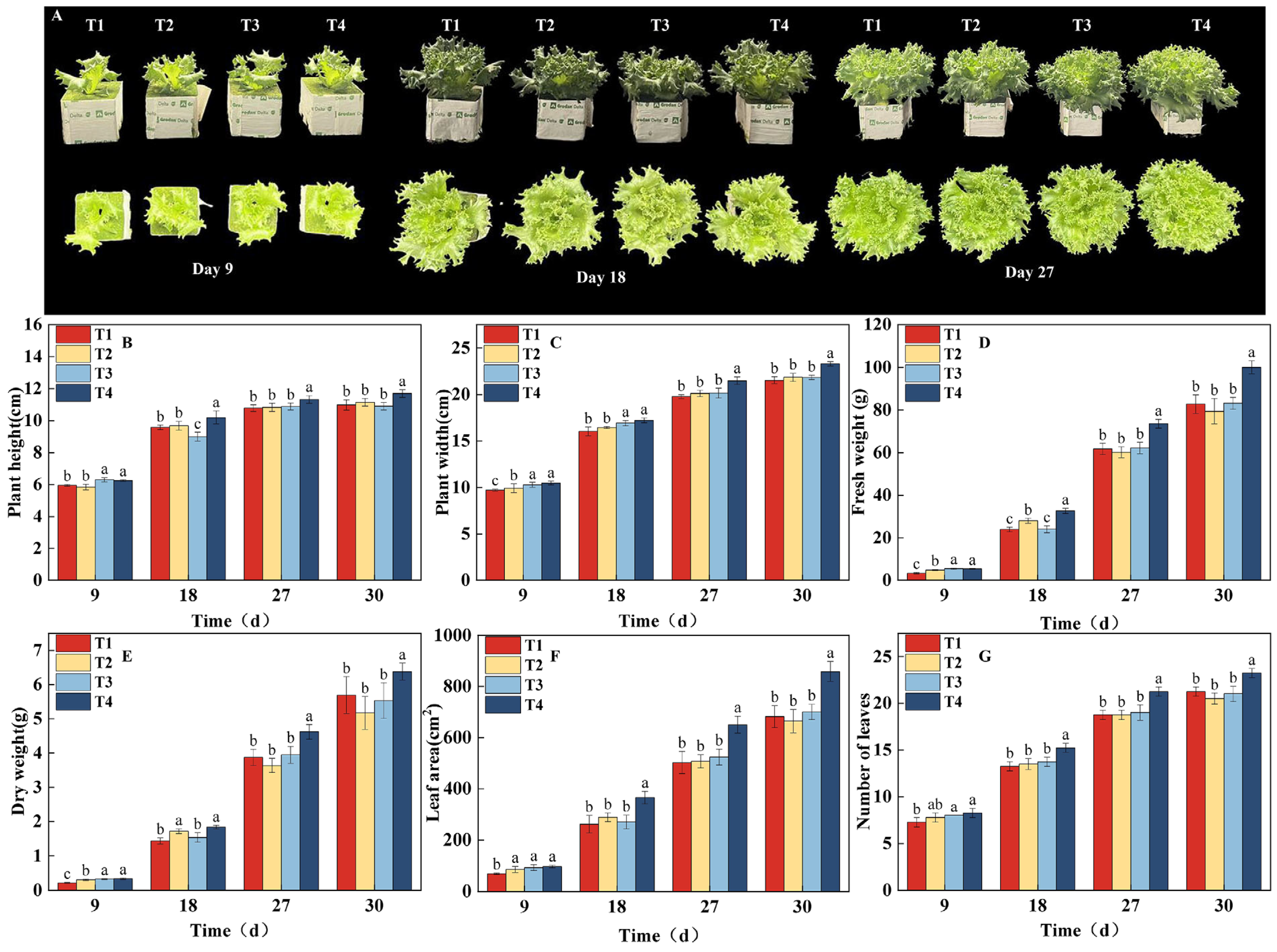 Plants 14 03469 g002