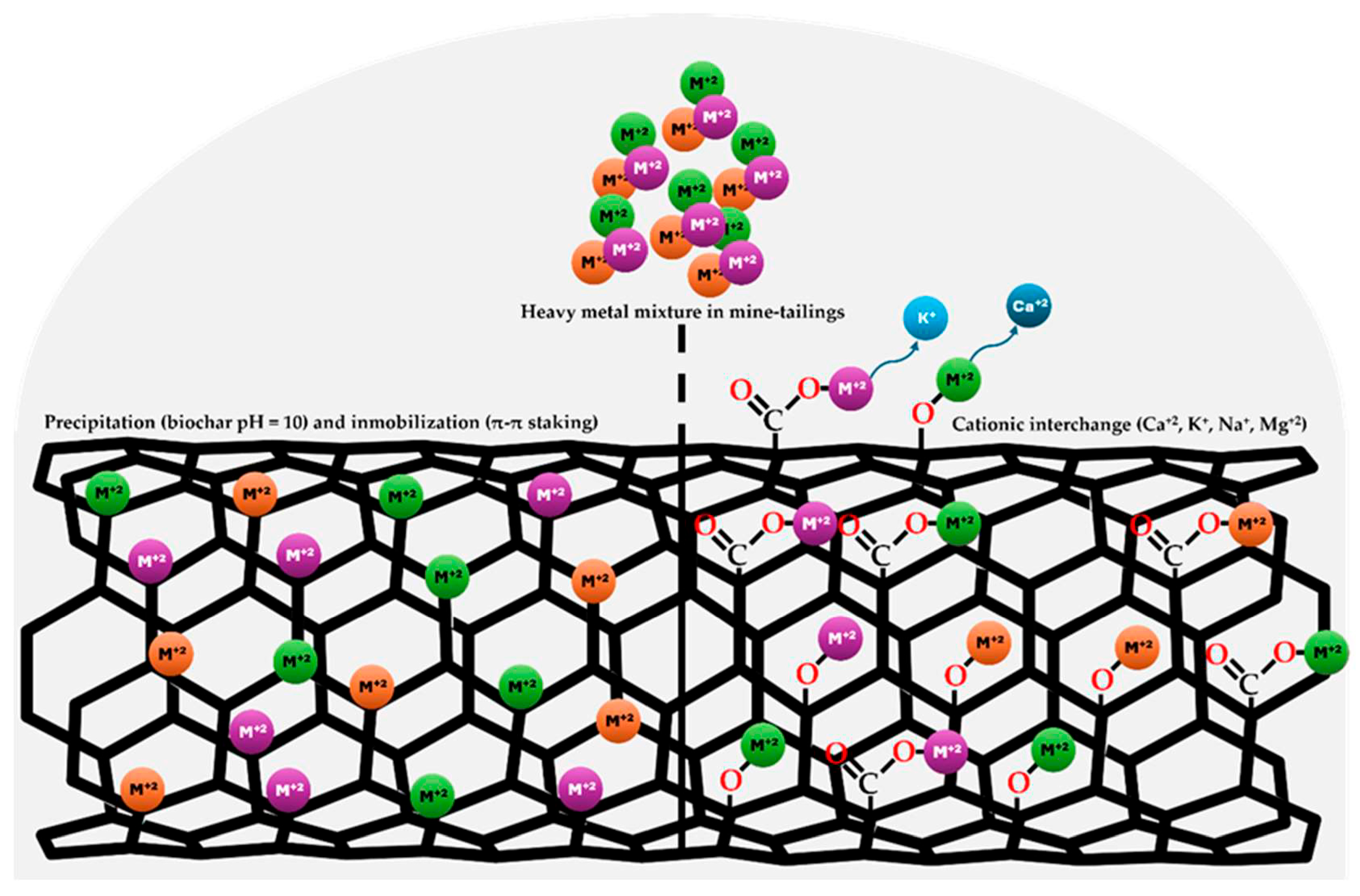 Plants 14 03470 g006 Plants 14 03470 g006