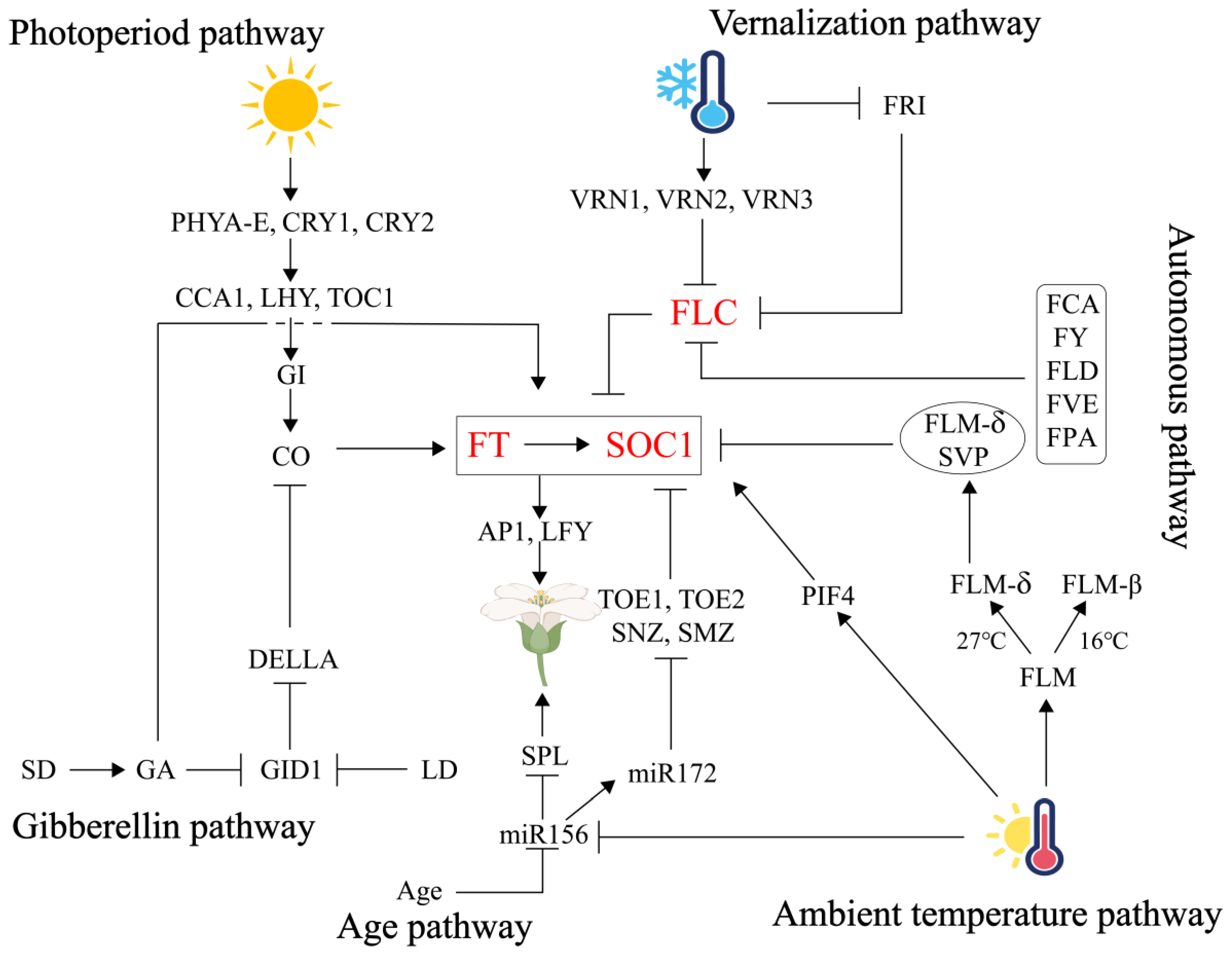 Plants 14 03471 g001 Plants 14 03471 g001