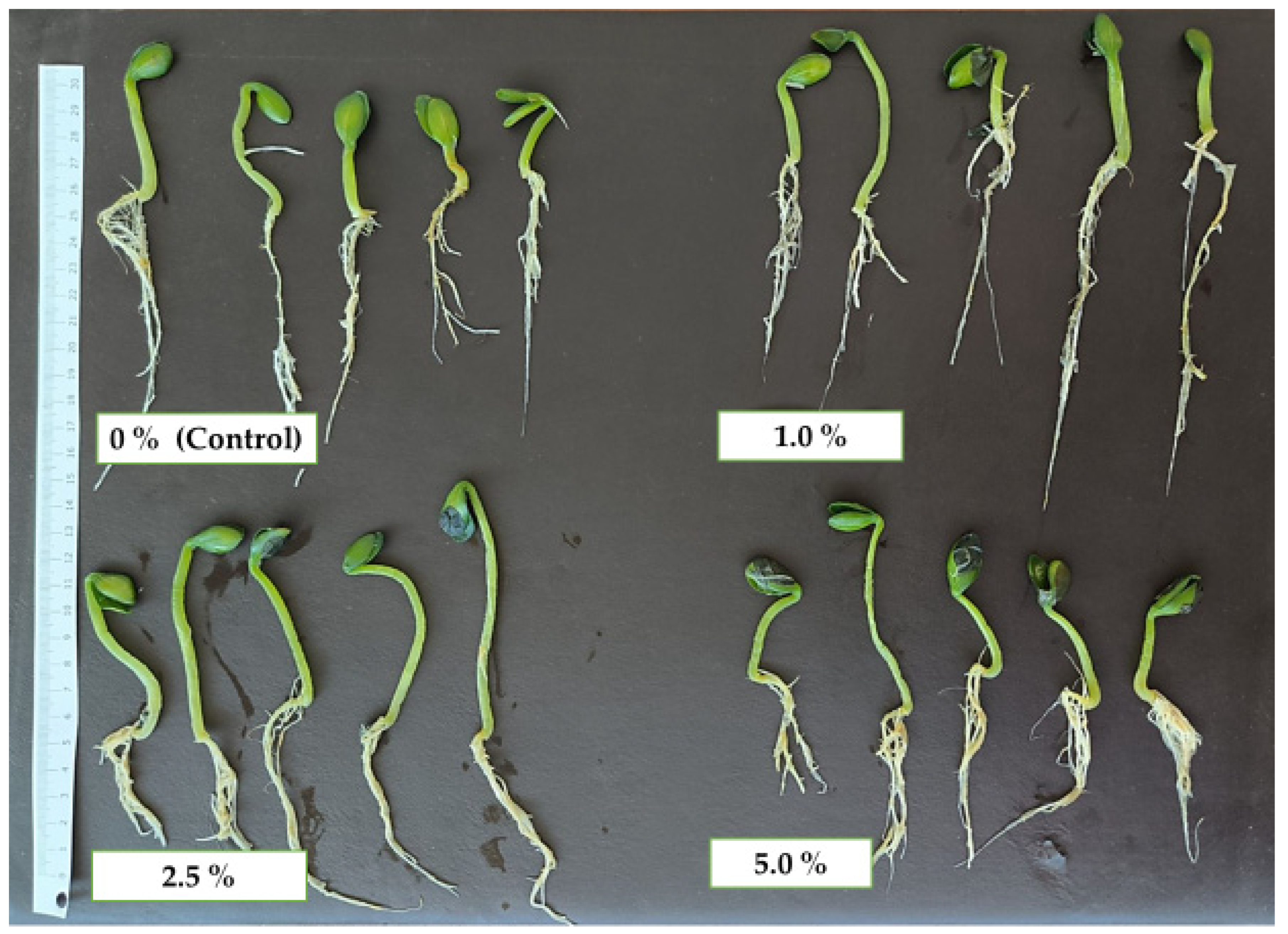 Plants 14 03473 g001 Plants 14 03473 g001