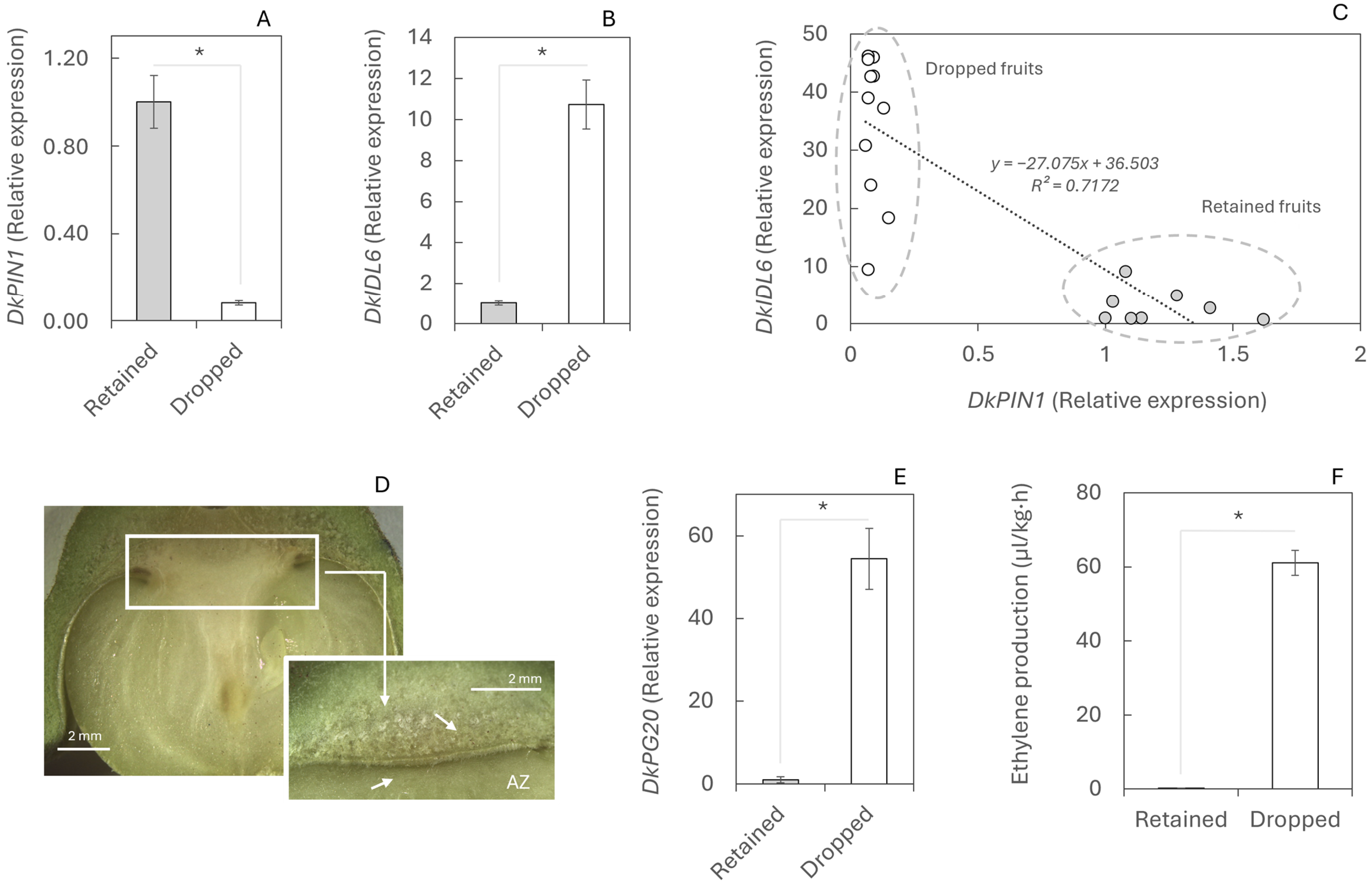 Plants 14 03482 g002 Plants 14 03482 g002