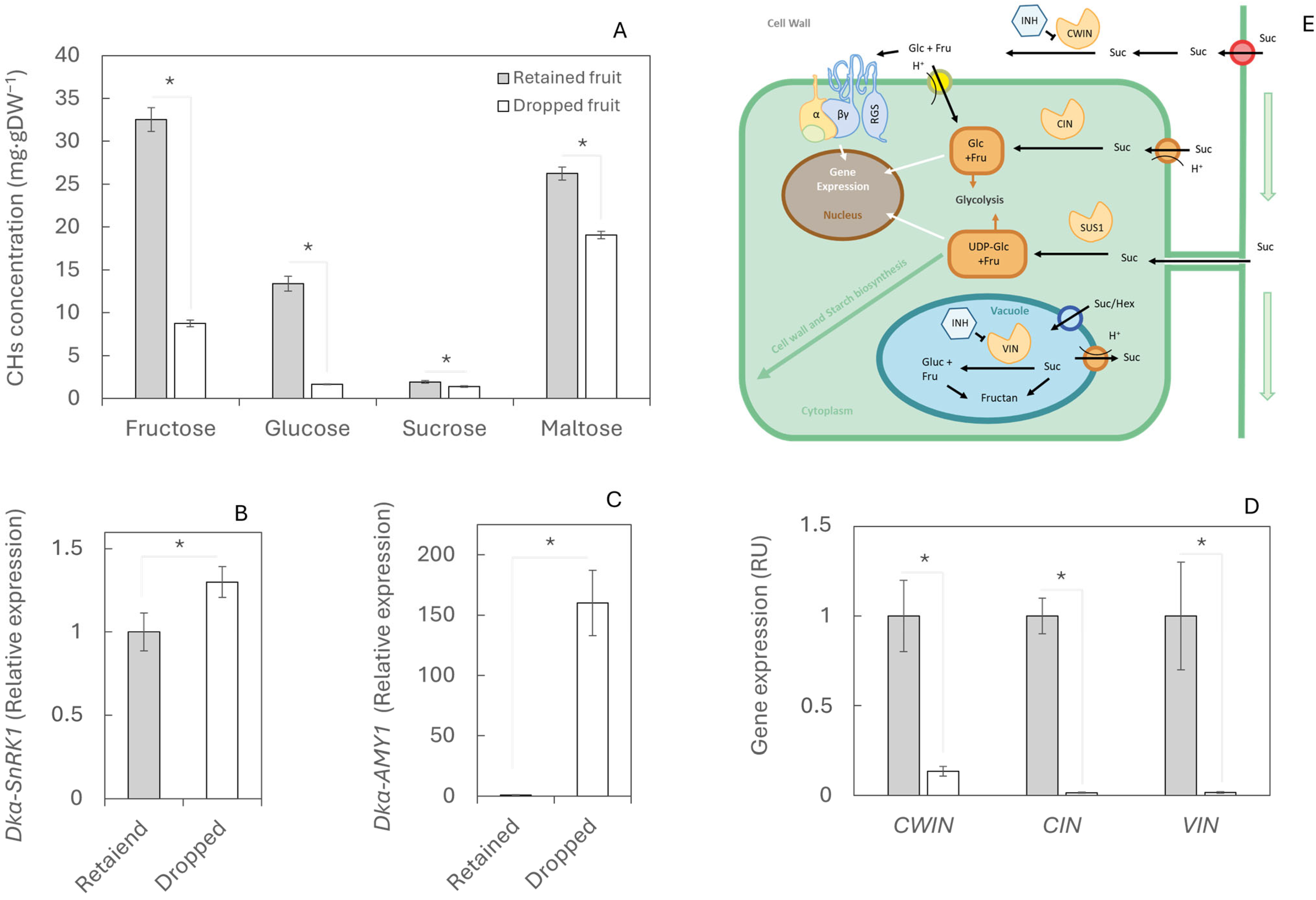 Plants 14 03482 g003 Plants 14 03482 g003