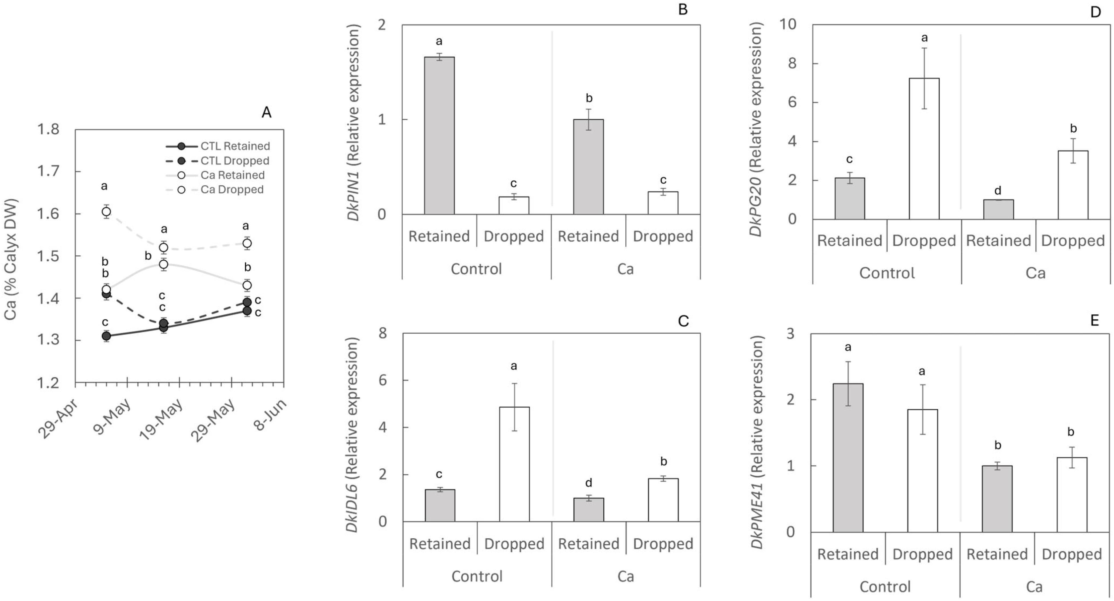 Plants 14 03482 g004 Plants 14 03482 g004