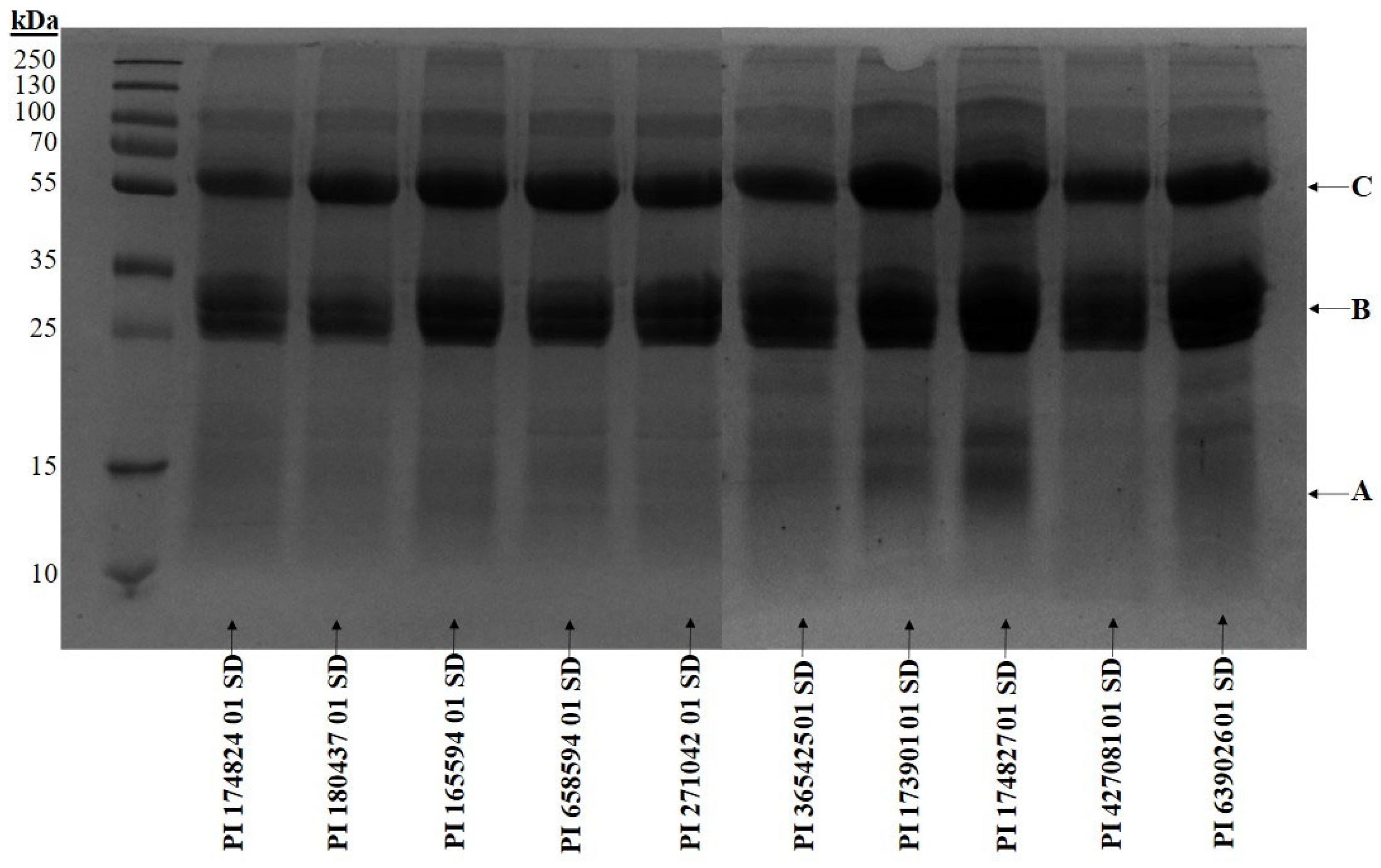 Plants 14 03483 g003