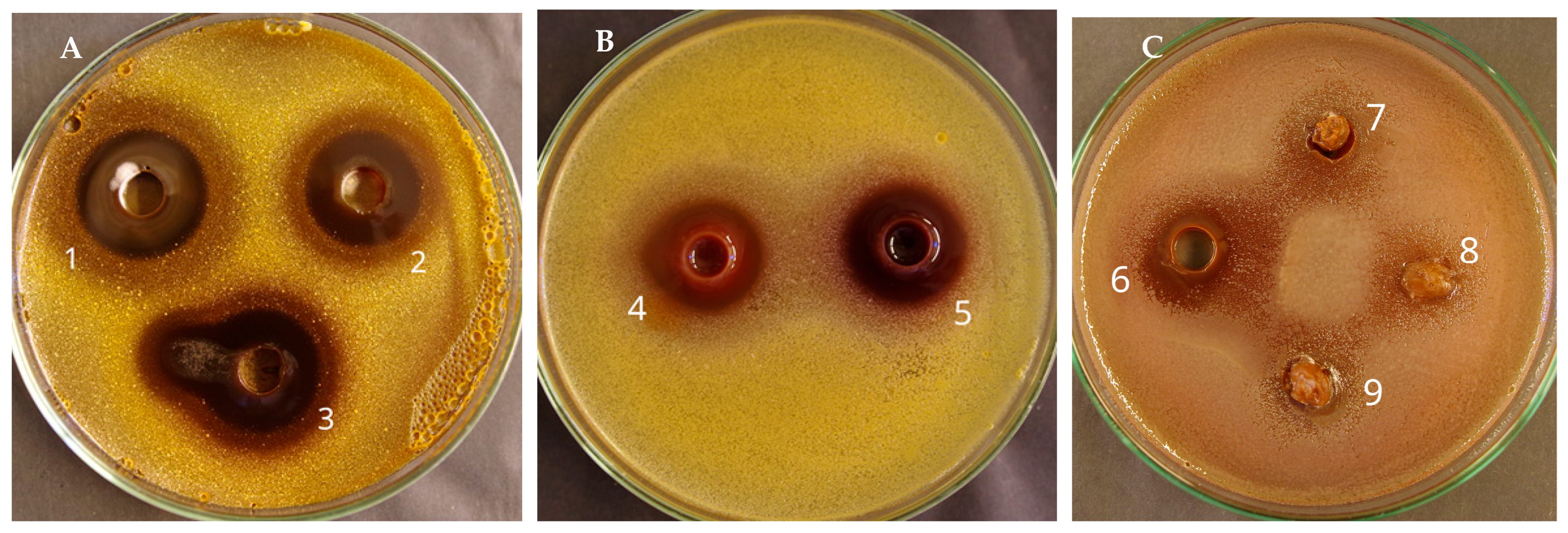 Plants 14 03485 g001 Plants 14 03485 g001