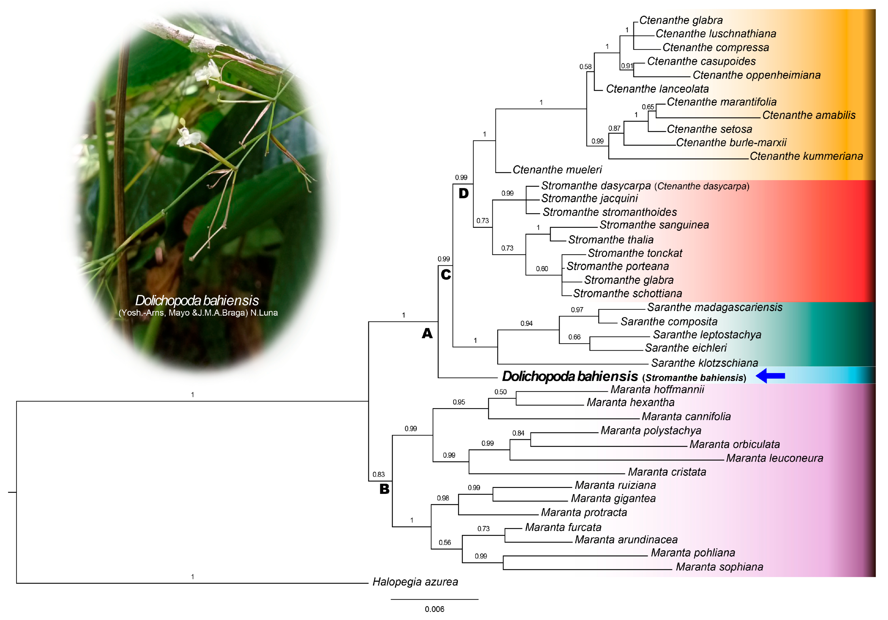 Plants 14 03486 g002 Plants 14 03486 g002