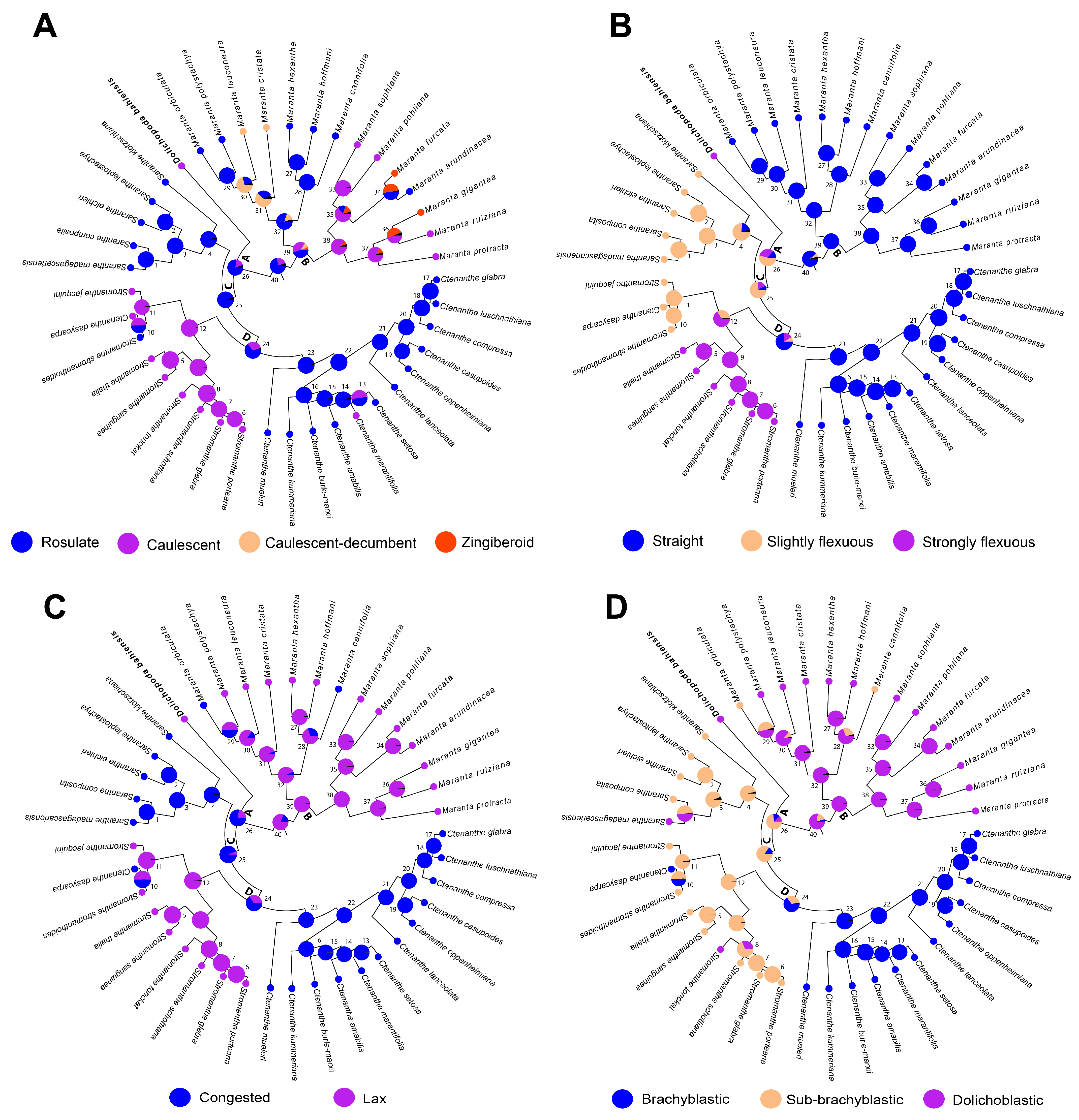 Plants 14 03486 g003 Plants 14 03486 g003