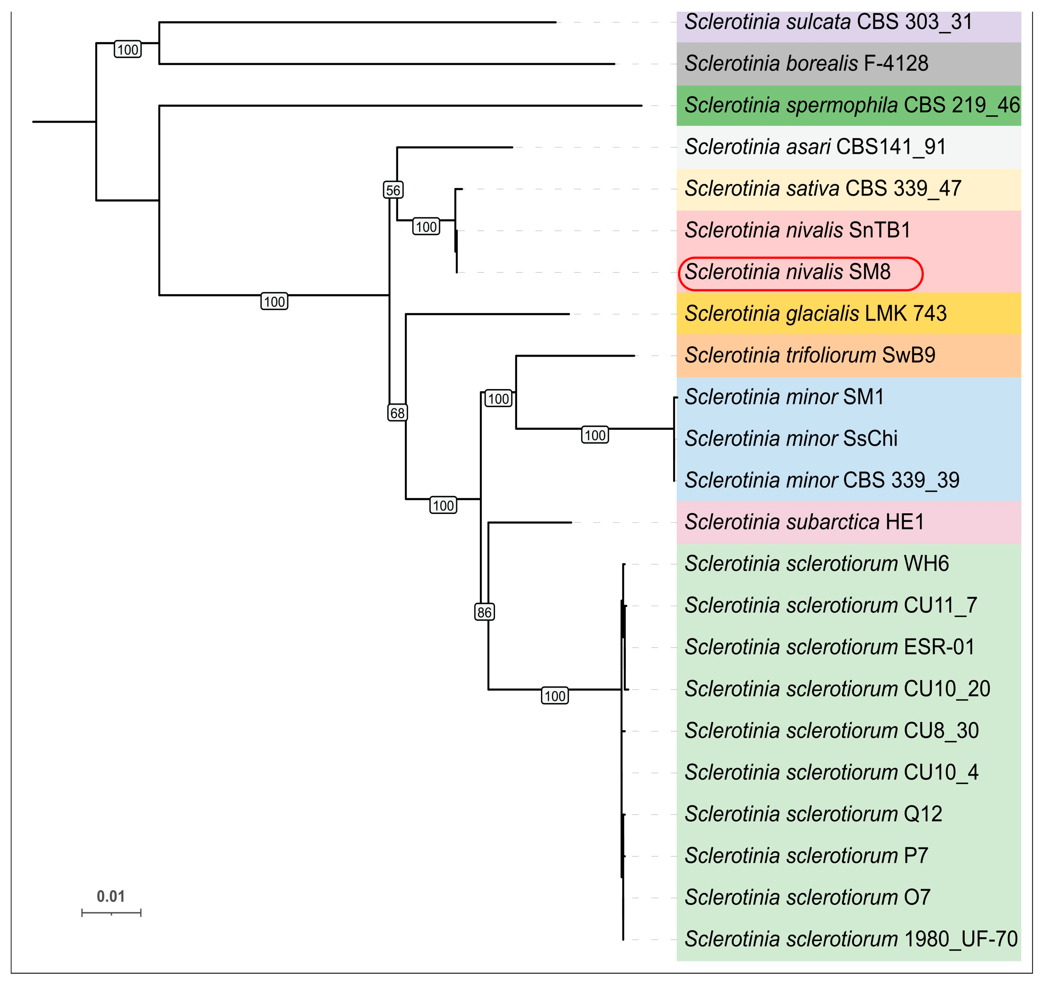 Plants 14 03487 g002