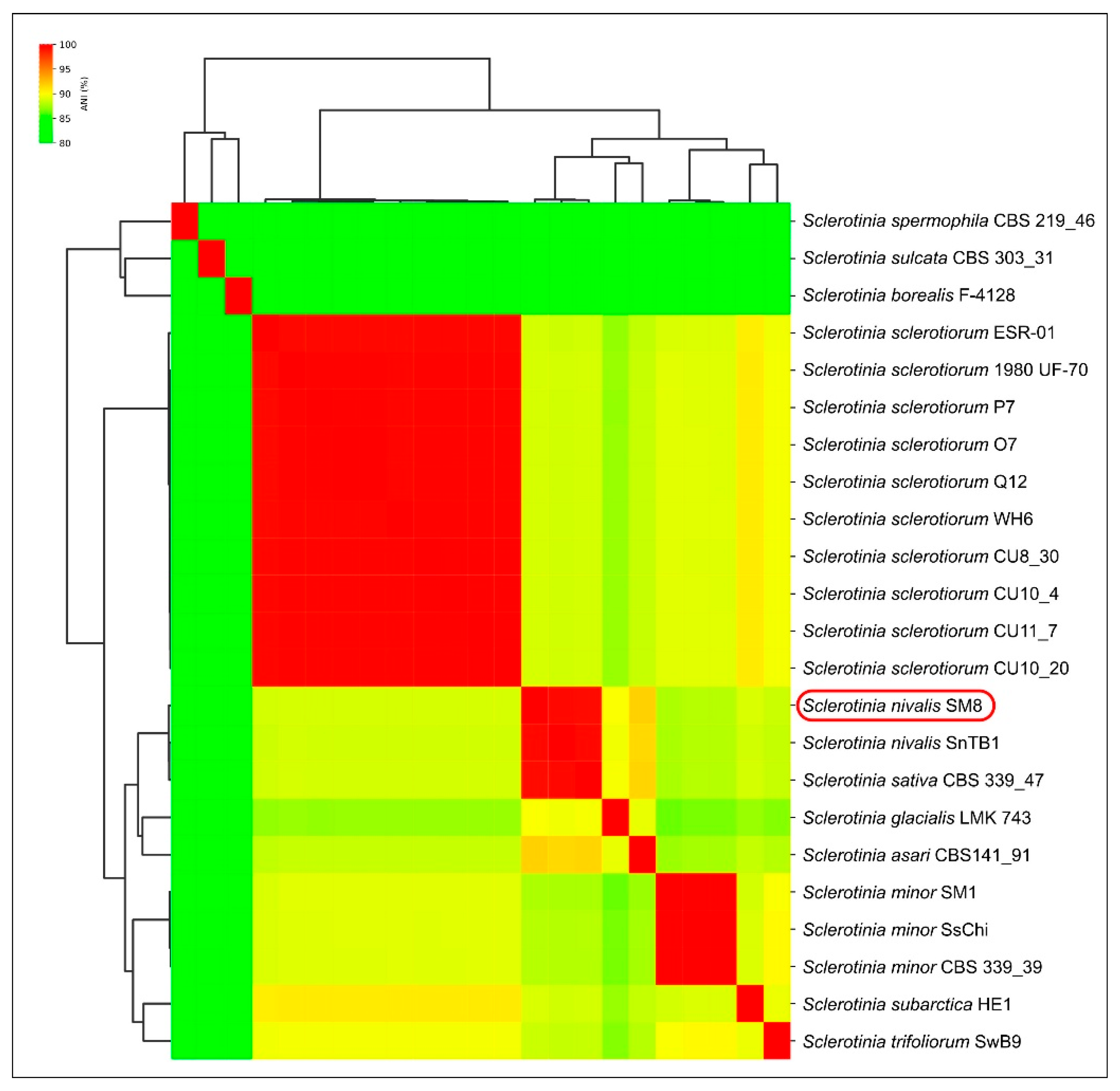 Plants 14 03487 g004