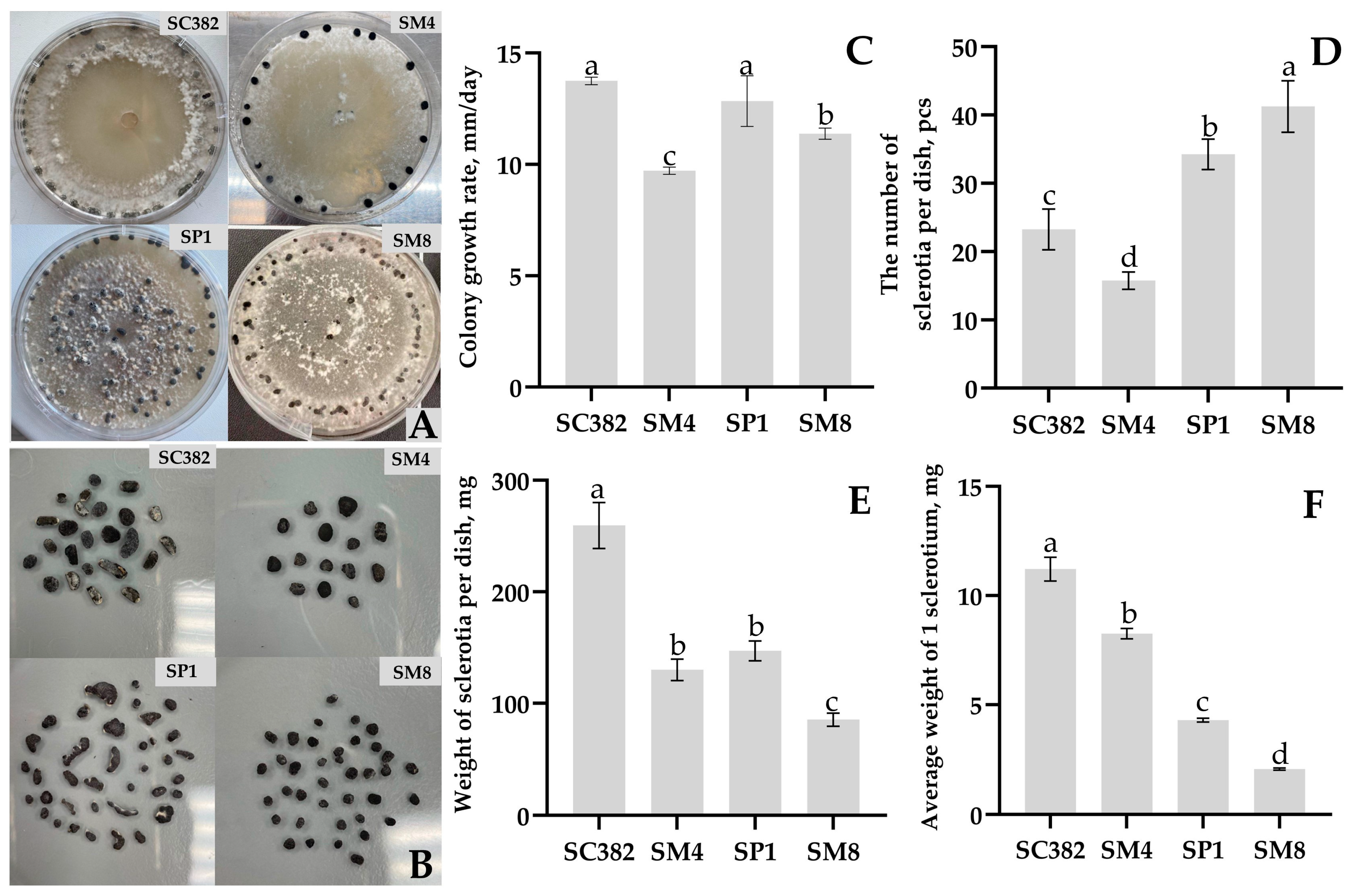 Plants 14 03487 g005