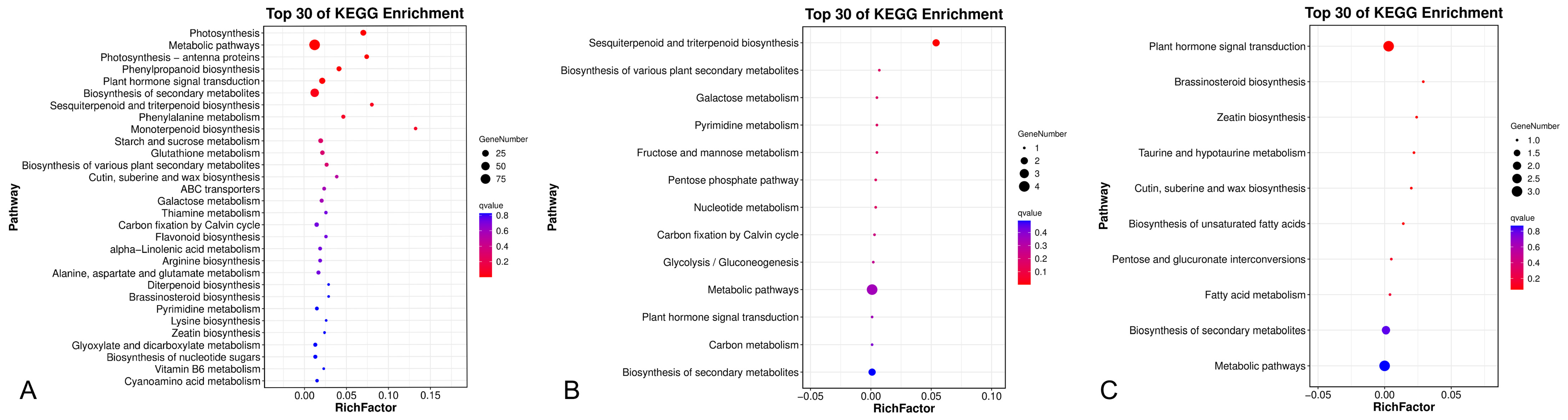Plants 14 03490 g005 Plants 14 03490 g005