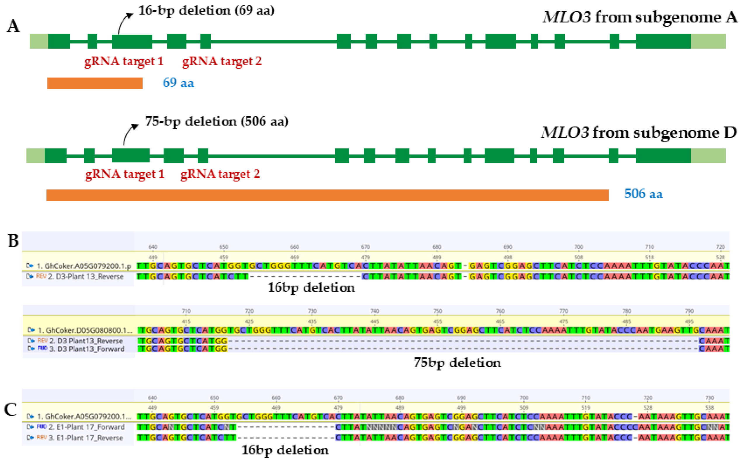 Plants 14 03491 g001