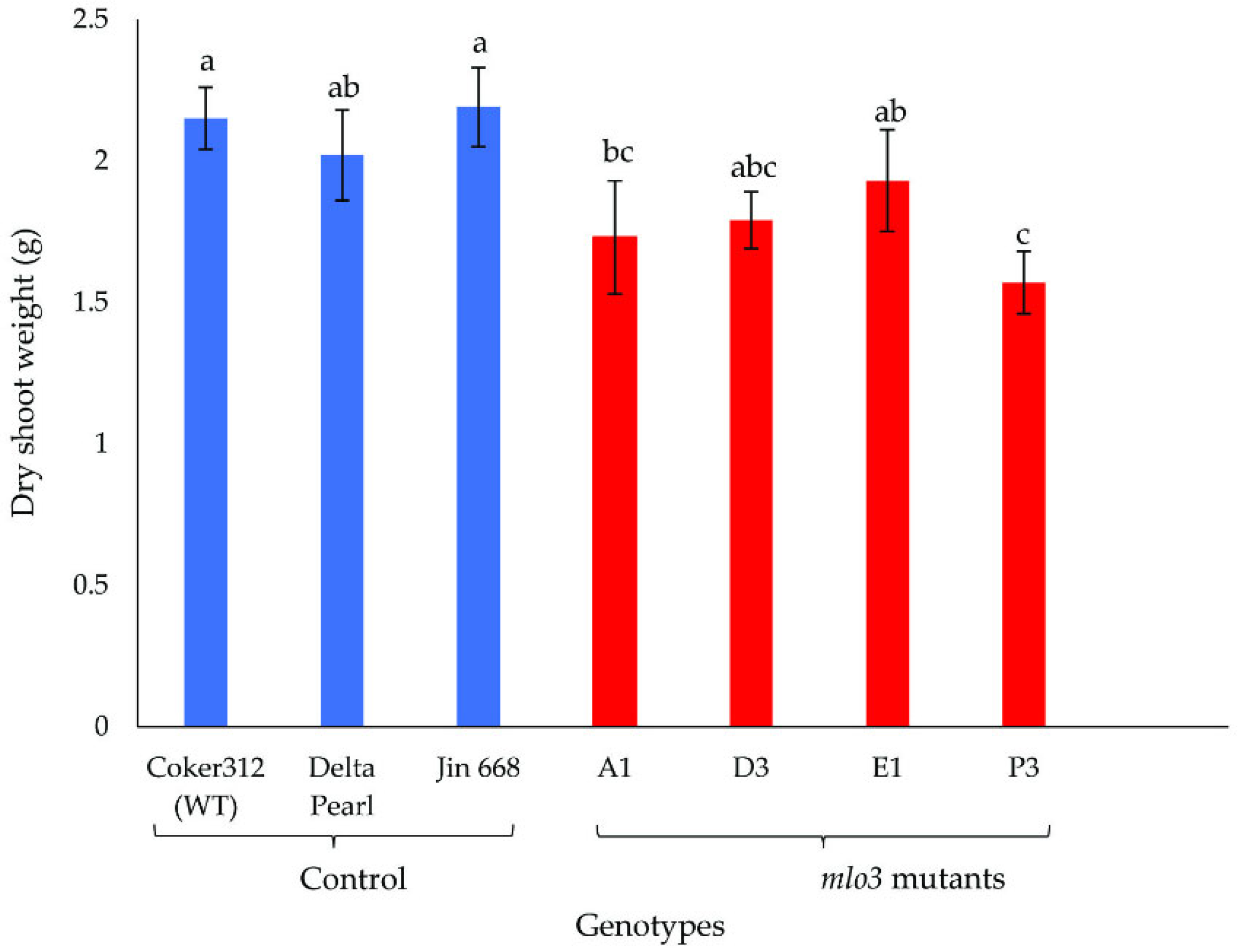 Plants 14 03491 g004