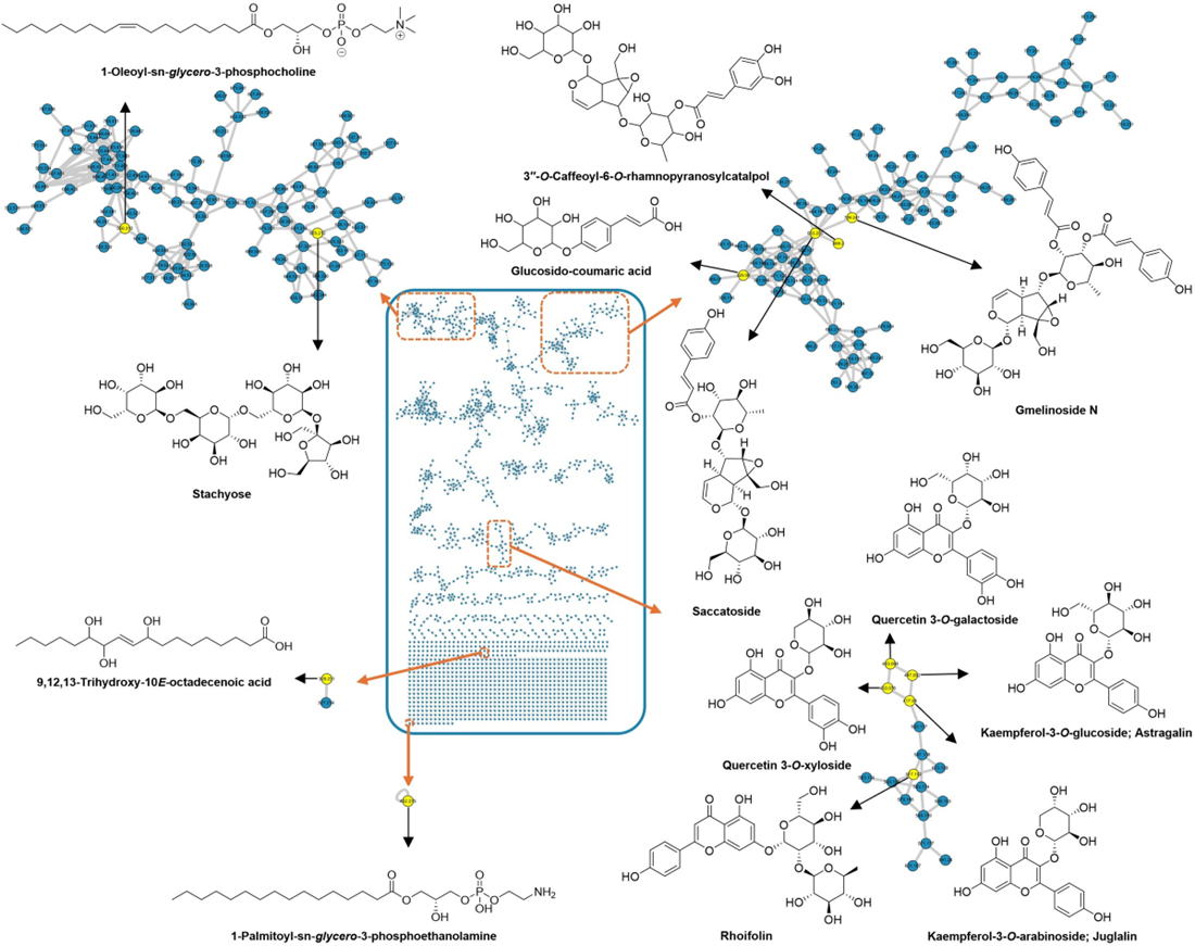 Plants 14 03494 g002 Plants 14 03494 g002