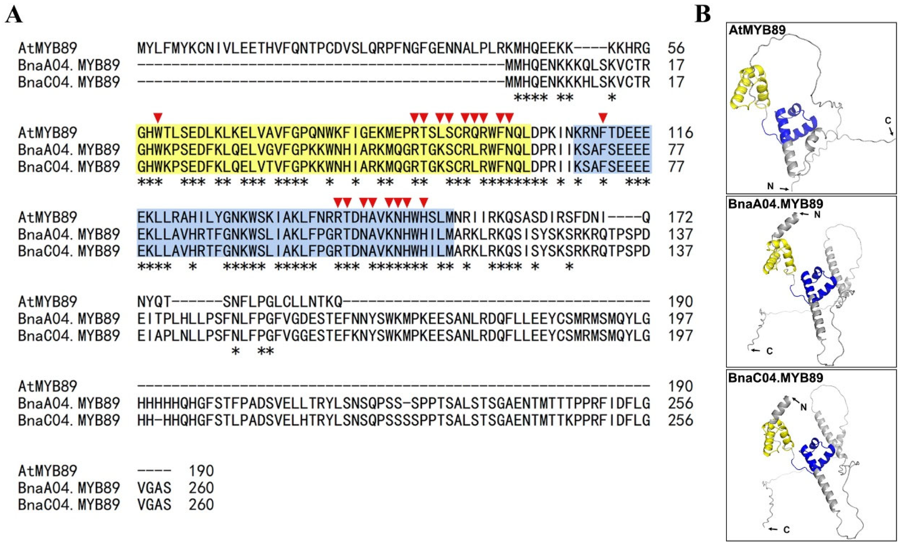 Plants 14 03495 g001 Plants 14 03495 g001