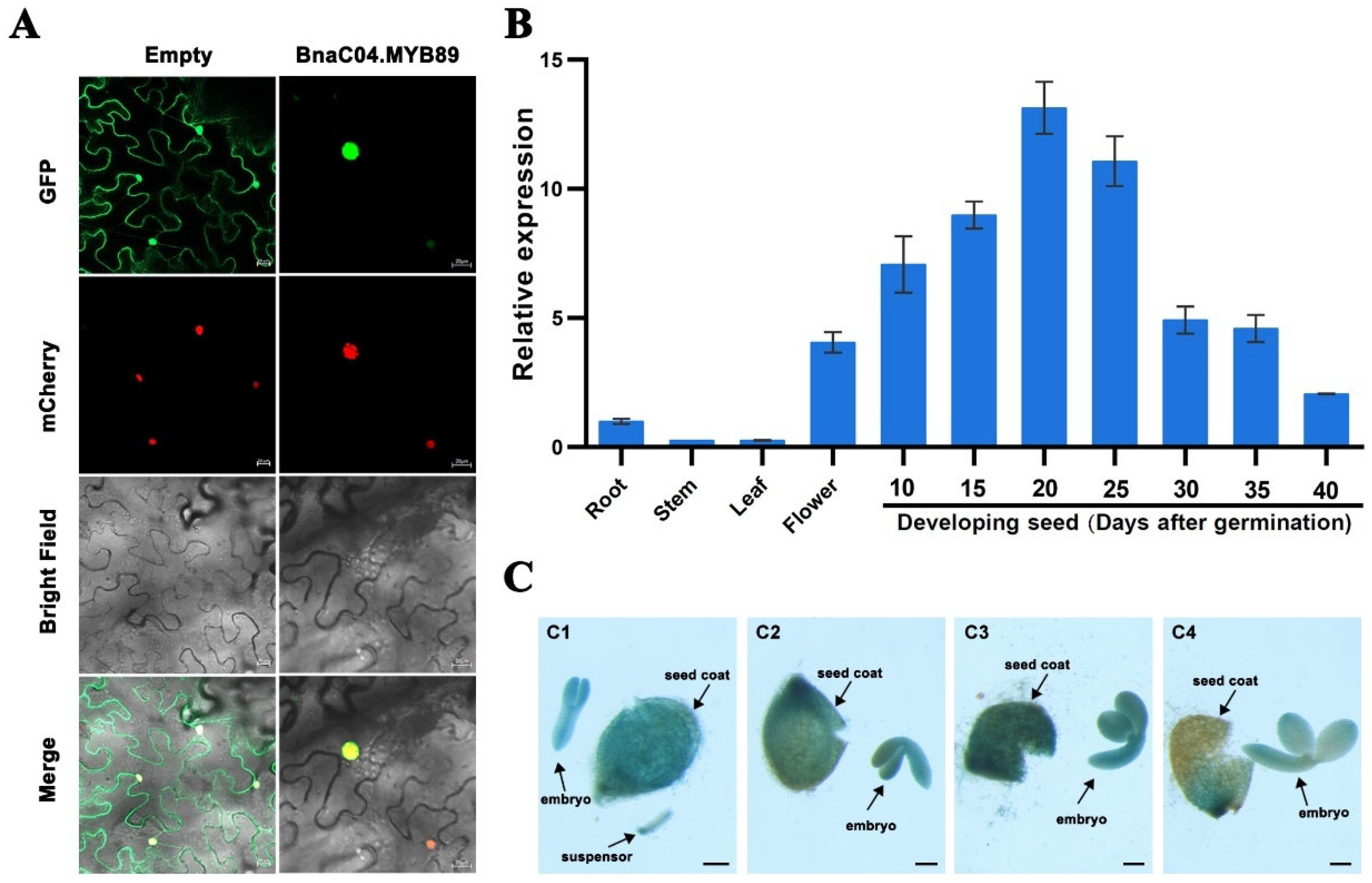 Plants 14 03495 g002 Plants 14 03495 g002