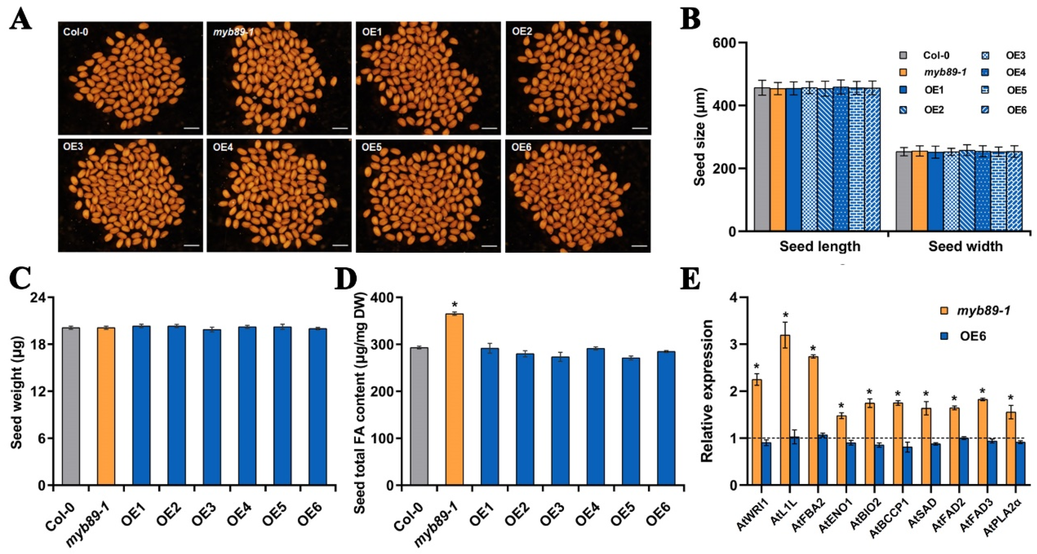 Plants 14 03495 g003 Plants 14 03495 g003