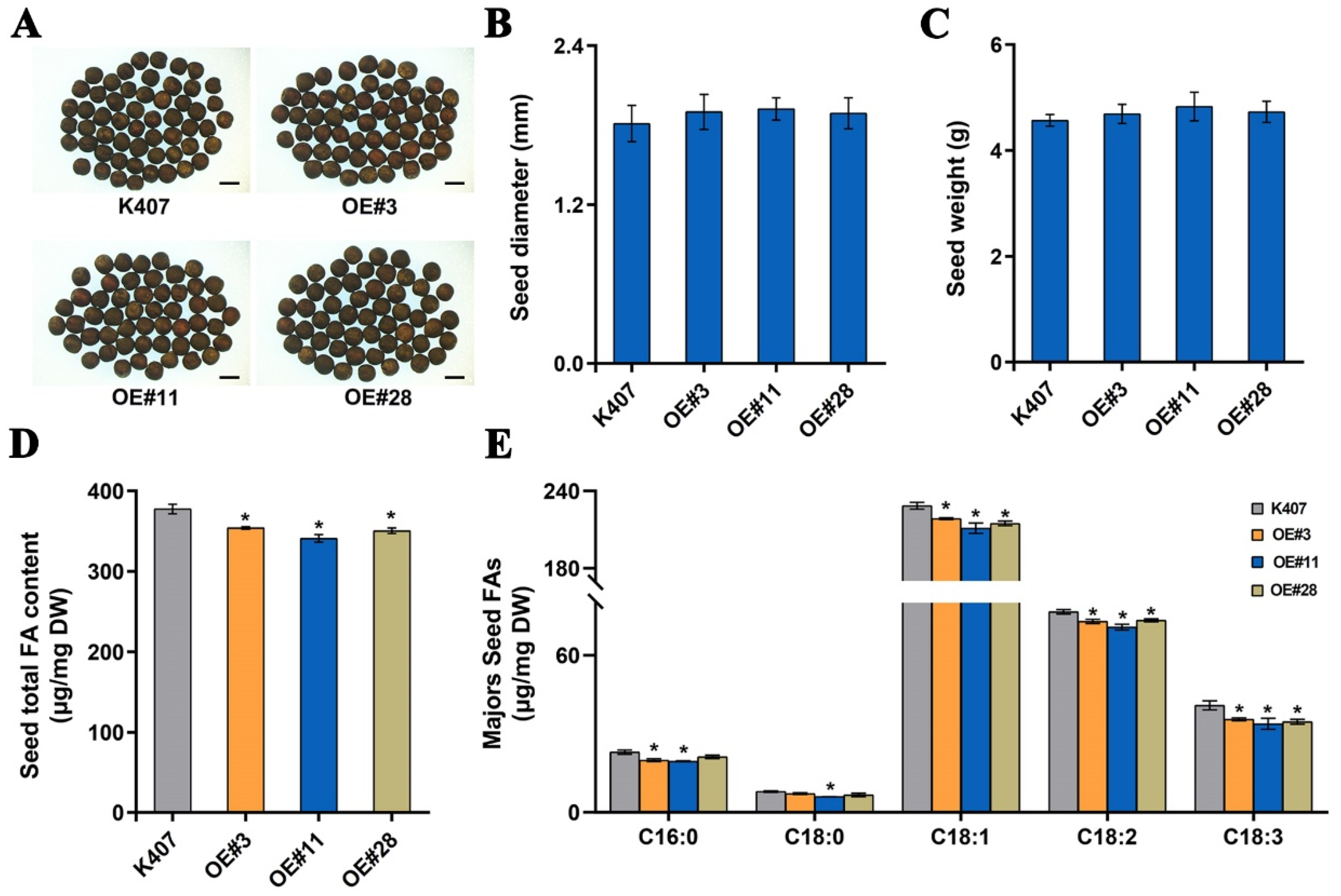 Plants 14 03495 g004 Plants 14 03495 g004