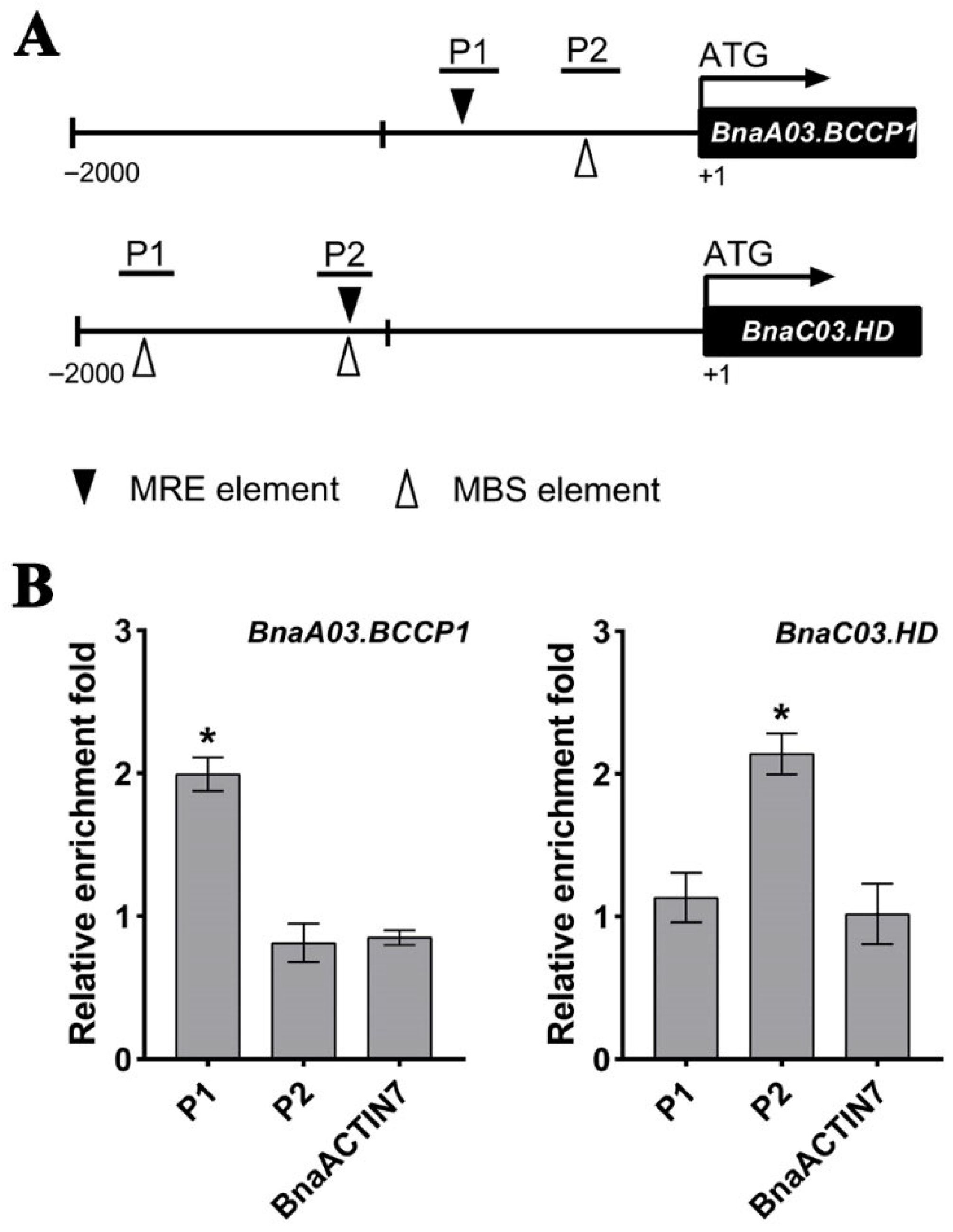 Plants 14 03495 g006 Plants 14 03495 g006