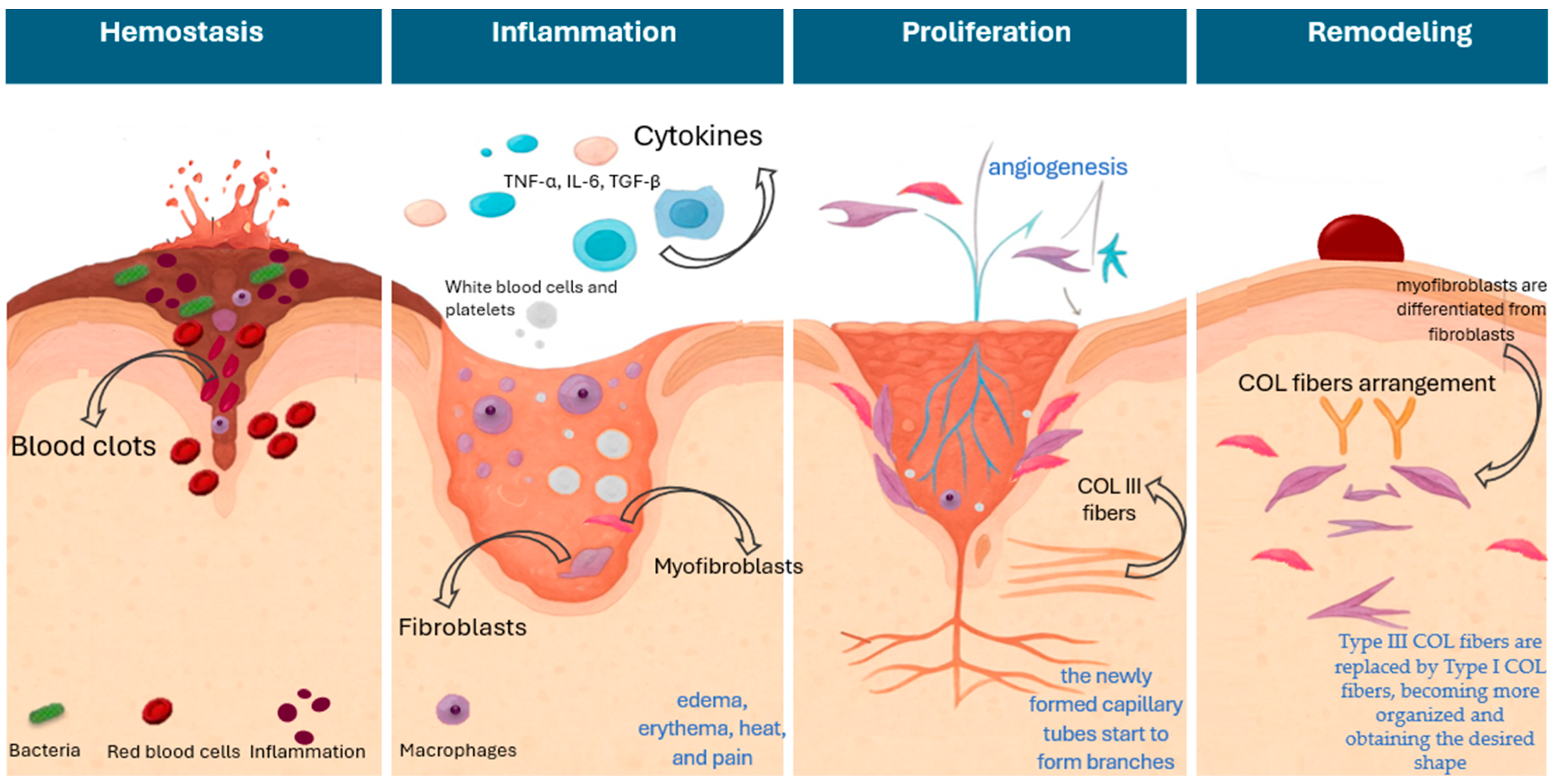 Plants 14 03497 g001 Plants 14 03497 g001