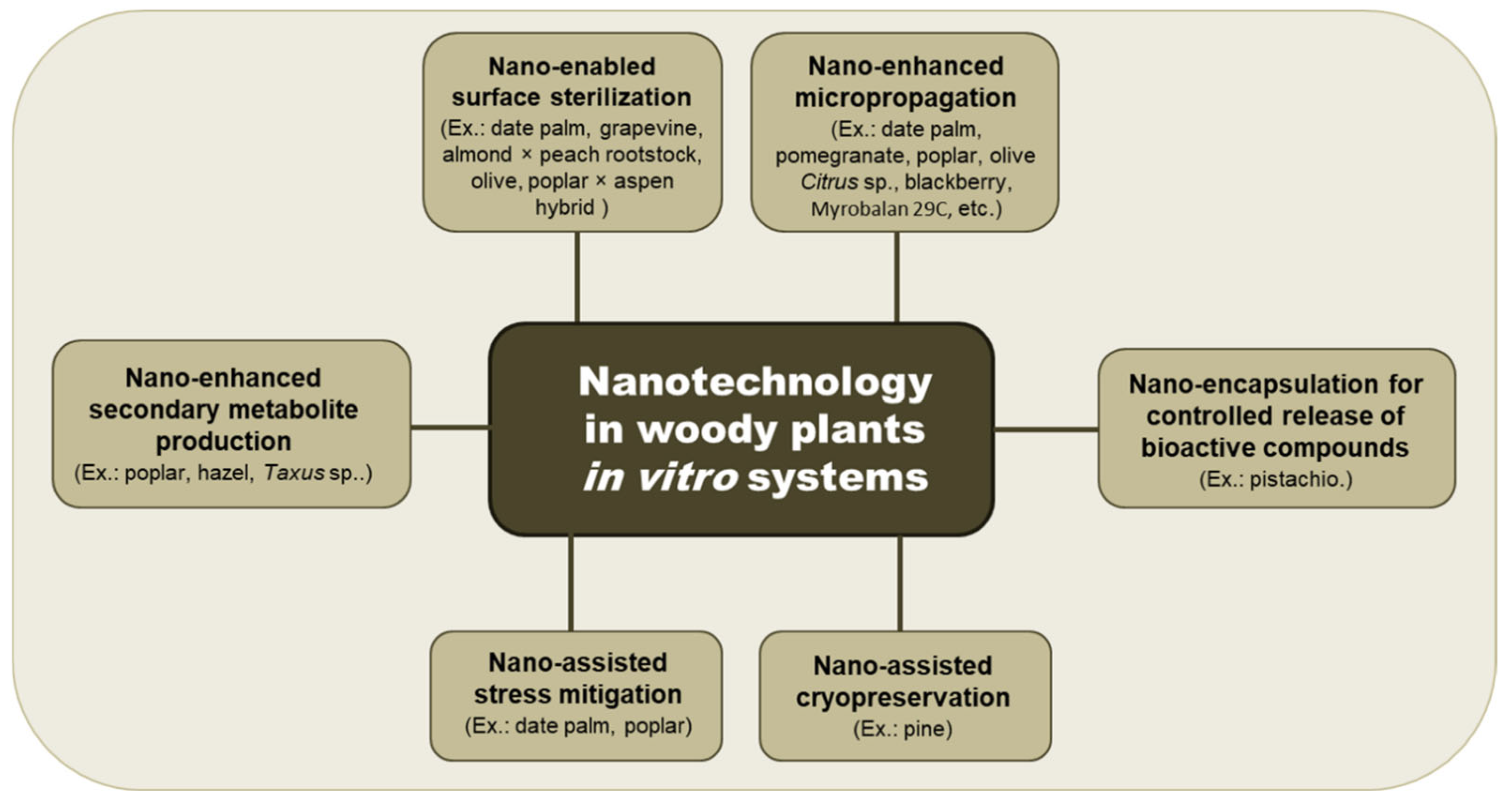 Plants 14 03499 g001 Plants 14 03499 g001