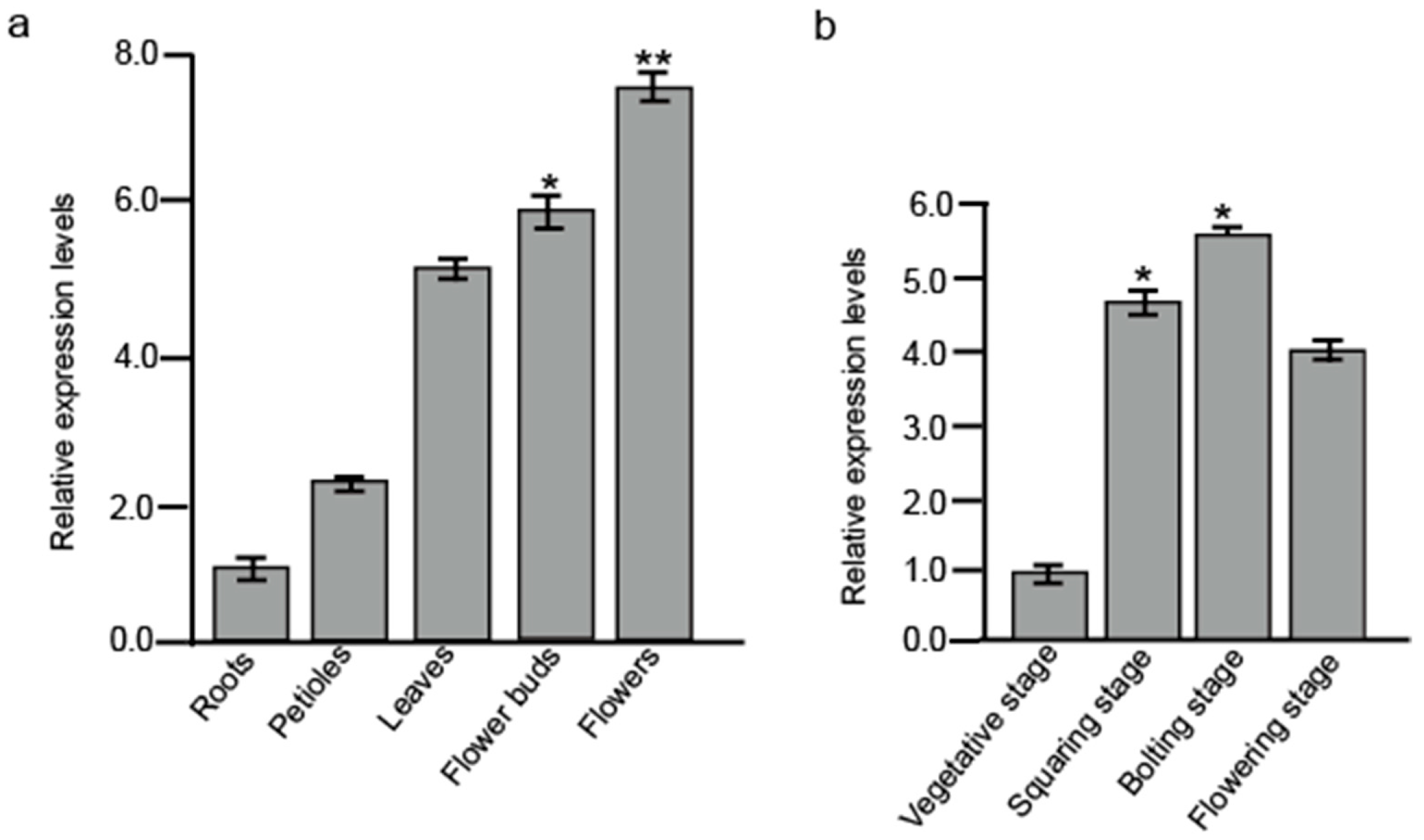 Plants 14 03502 g001 Plants 14 03502 g001