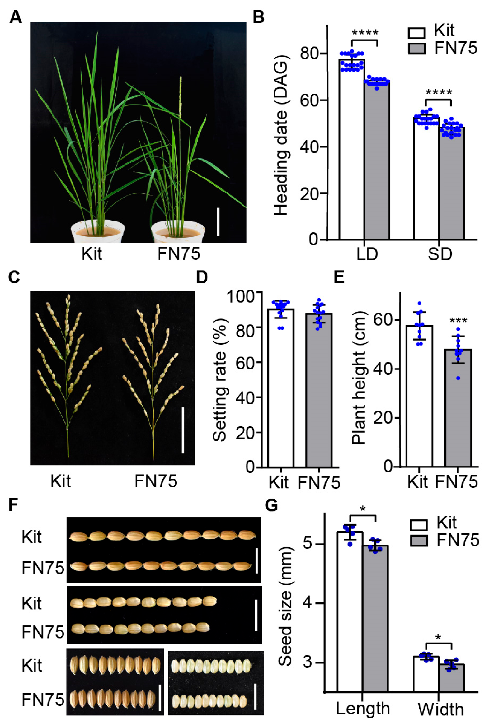 Plants 14 03503 g001 Plants 14 03503 g001