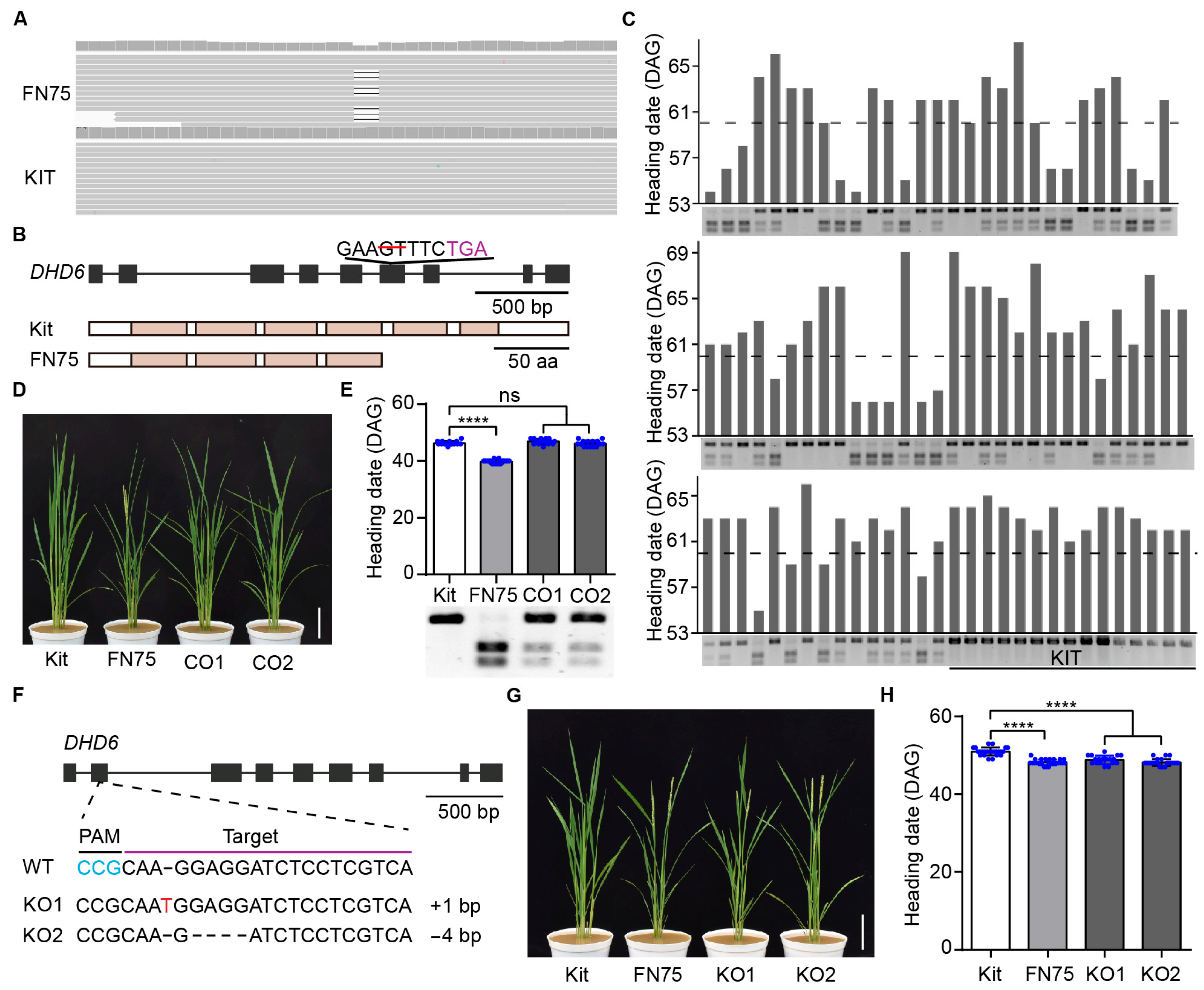 Plants 14 03503 g002 Plants 14 03503 g002