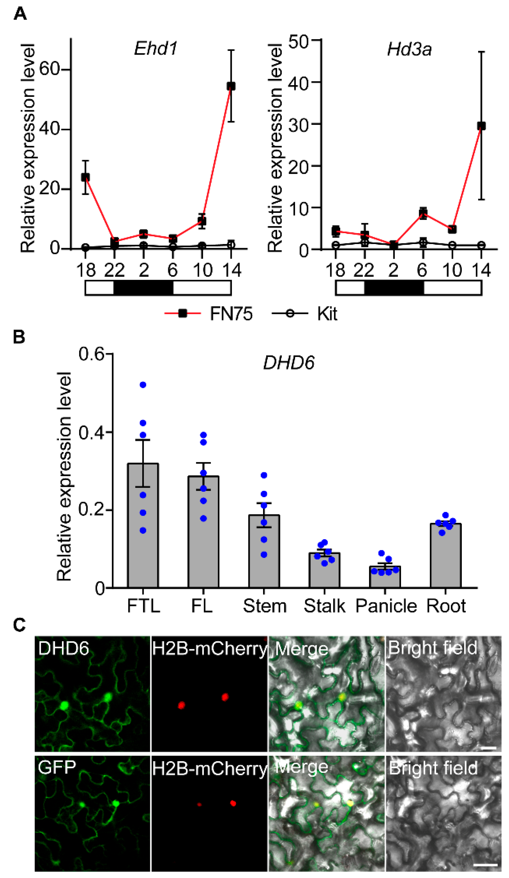 Plants 14 03503 g003 Plants 14 03503 g003