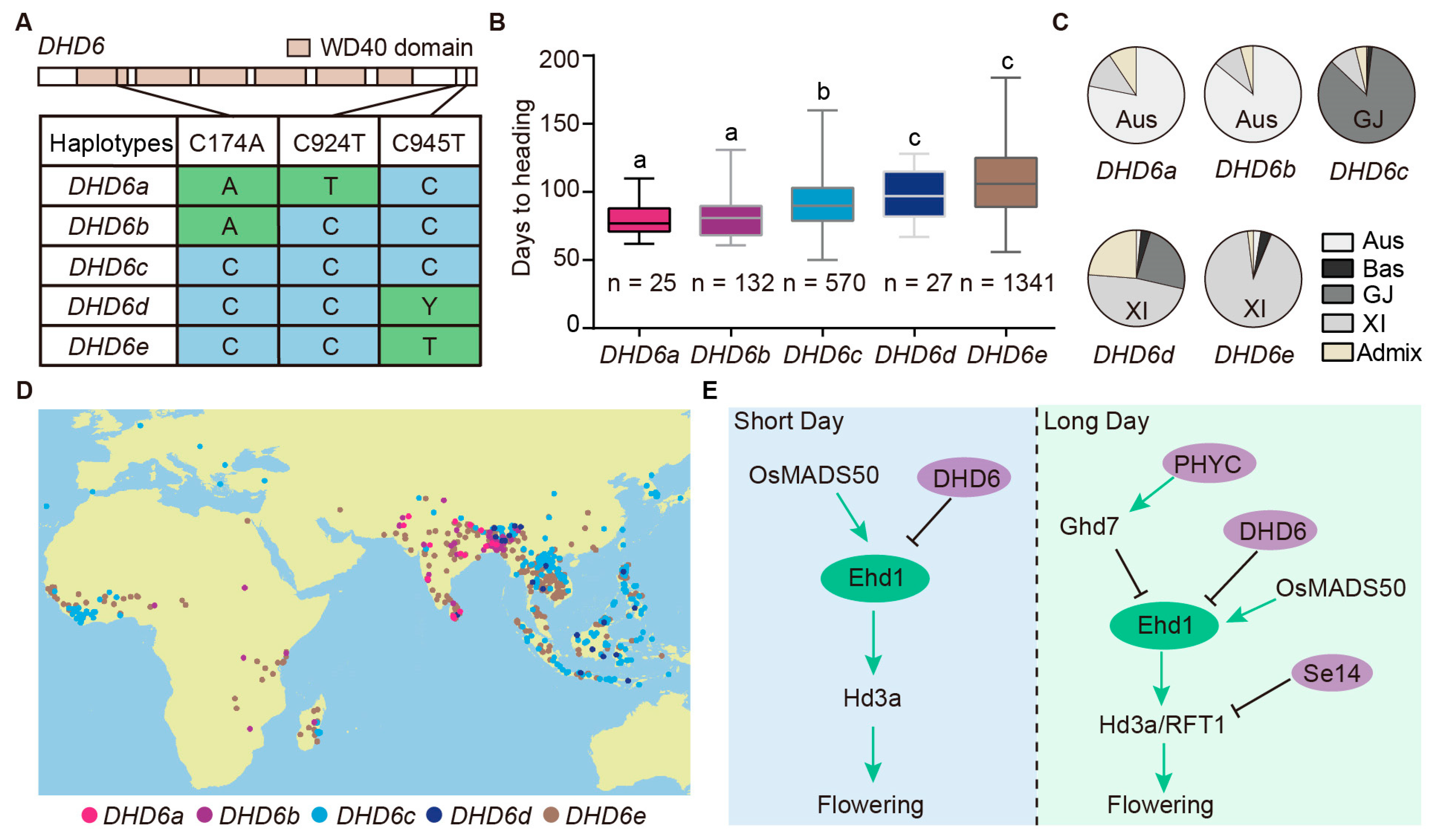 Plants 14 03503 g006 Plants 14 03503 g006