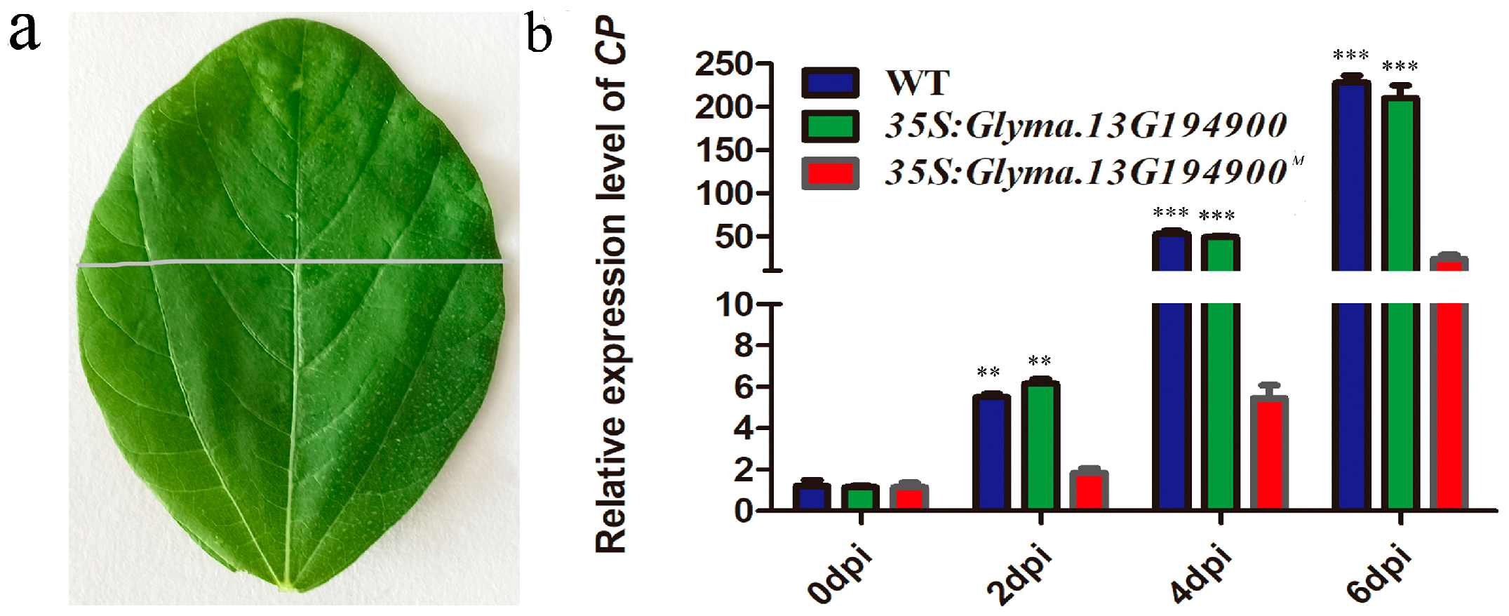 Plants 14 03504 g006