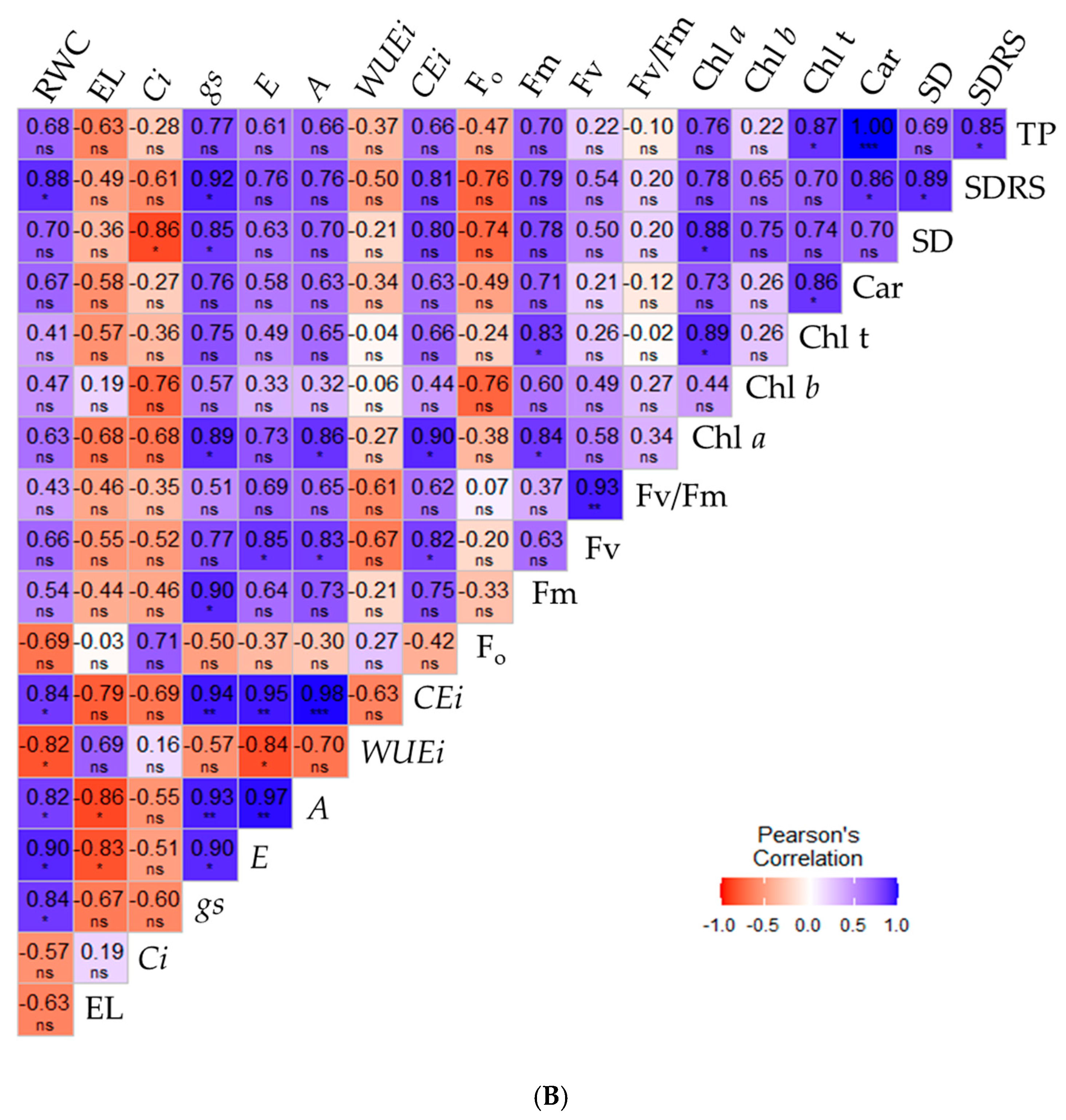 Plants 14 03507 g006b